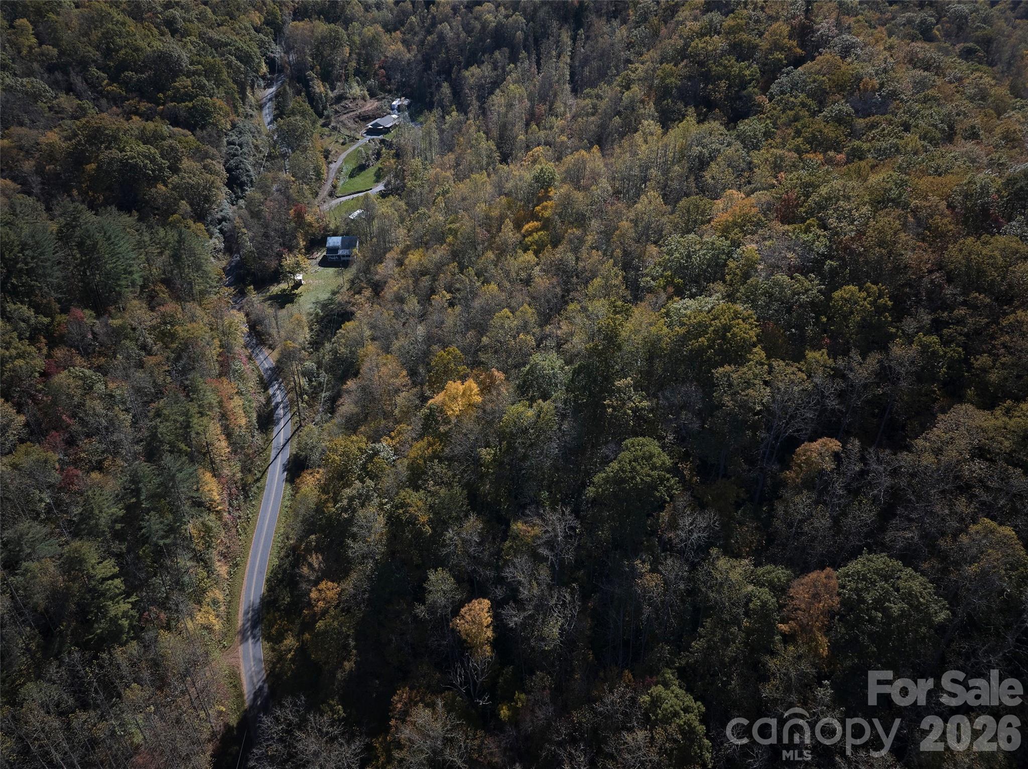 0 Treehouse Road Whittier, NC 28789 - Photo 7 of 13