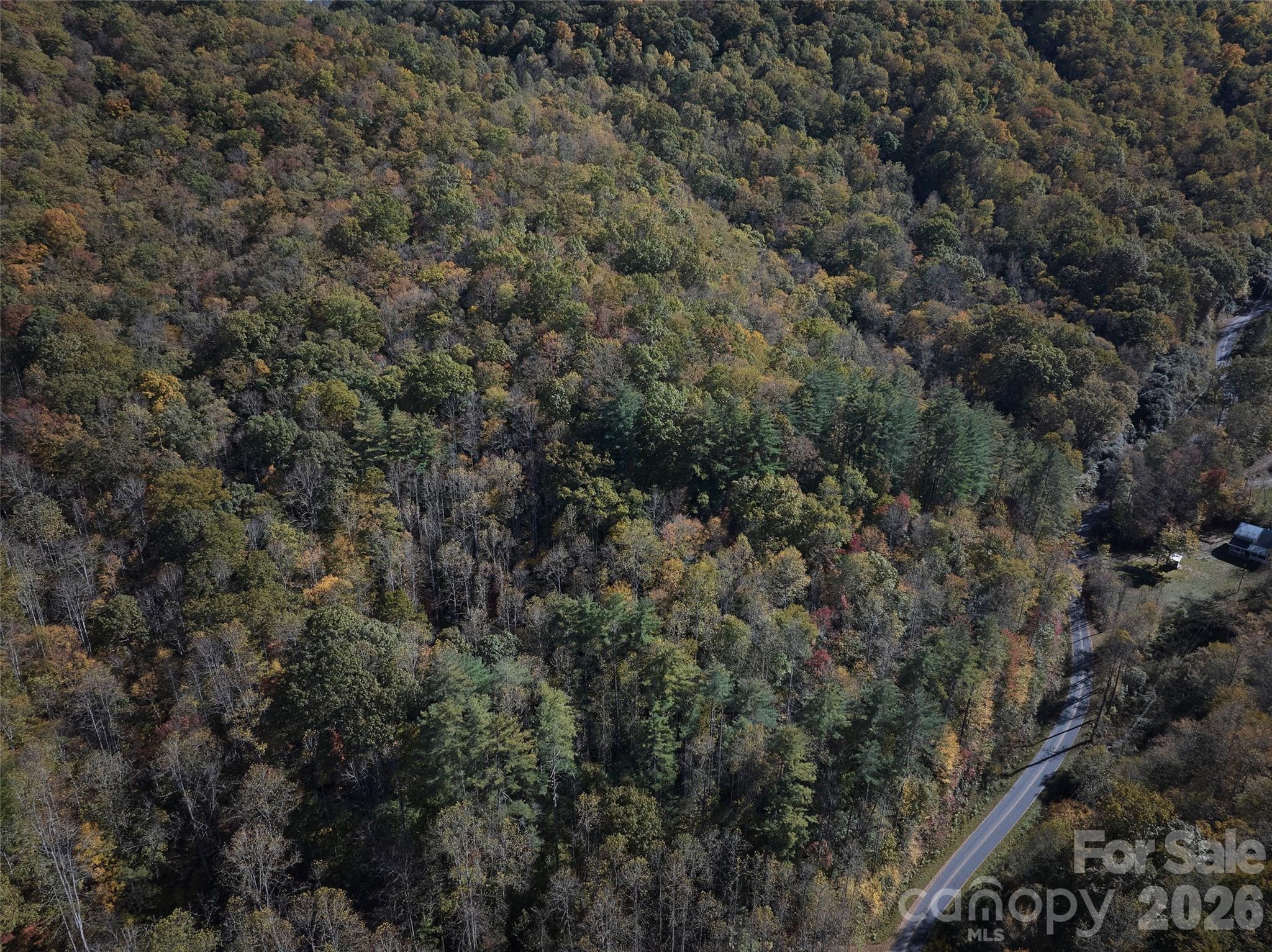 0 Treehouse Road Whittier, NC 28789 - Photo 8 of 13