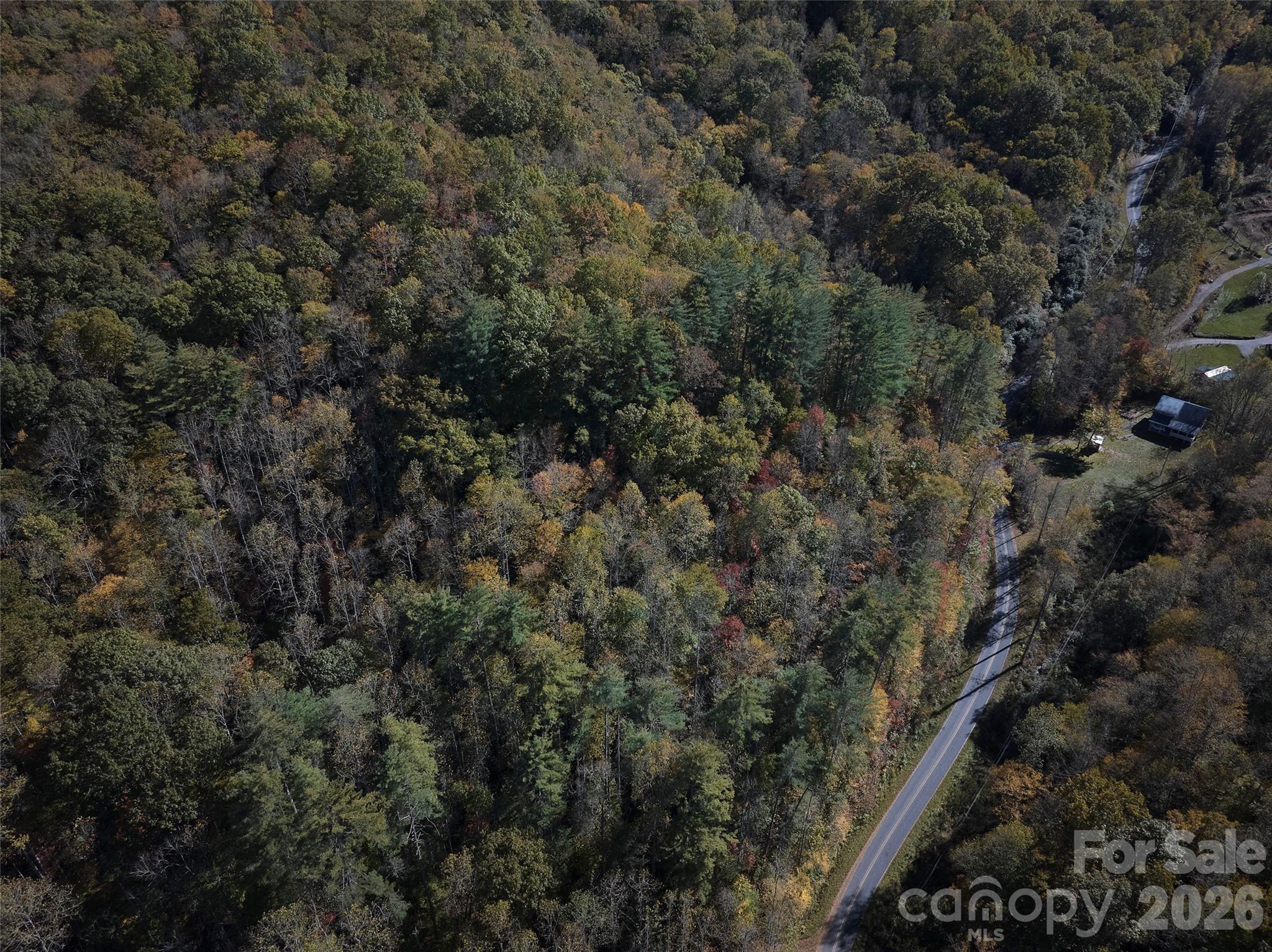 0 Treehouse Road Whittier, NC 28789 - Photo 9 of 13