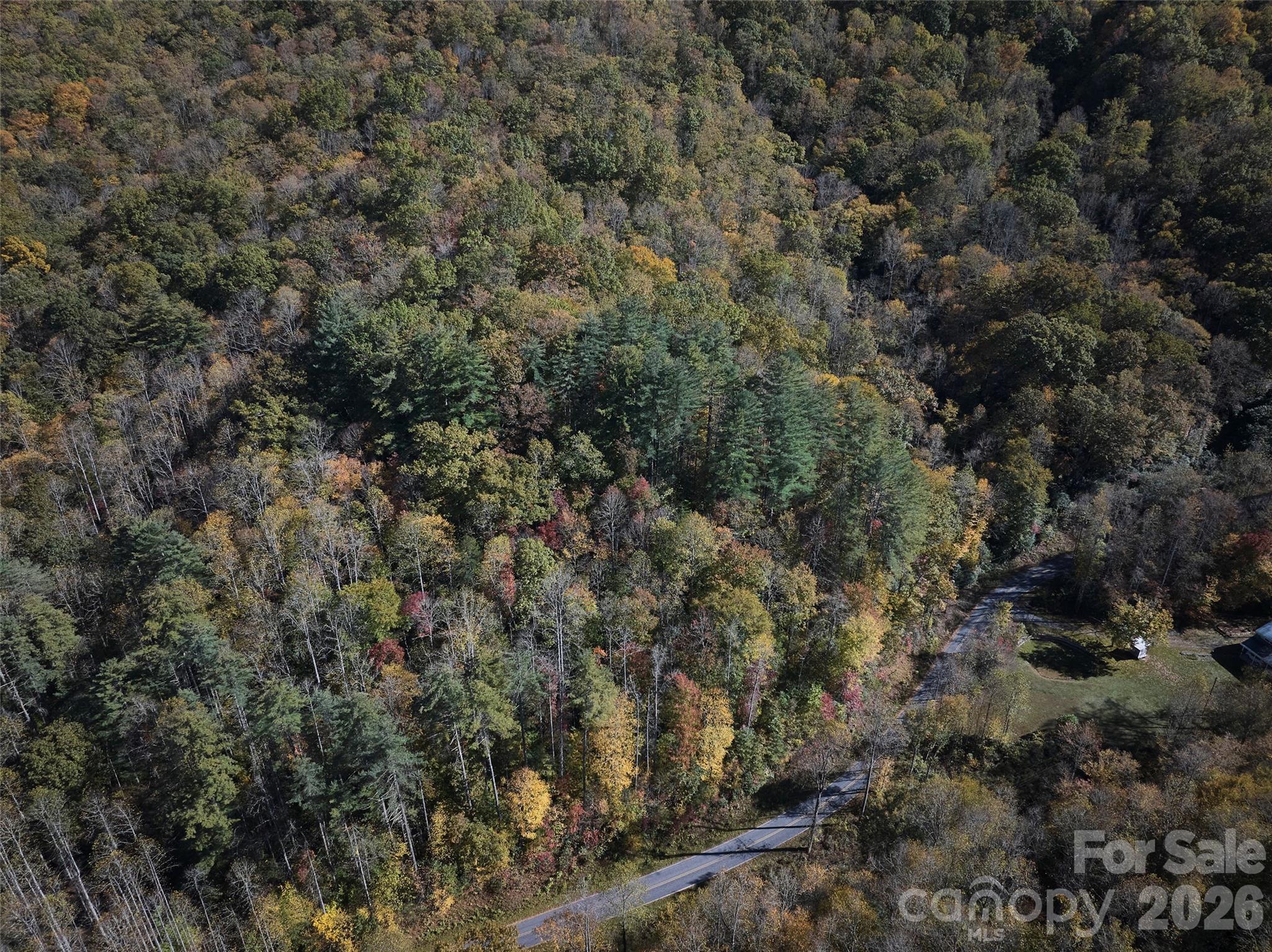 0 Treehouse Road Whittier, NC 28789 - Photo 10 of 13