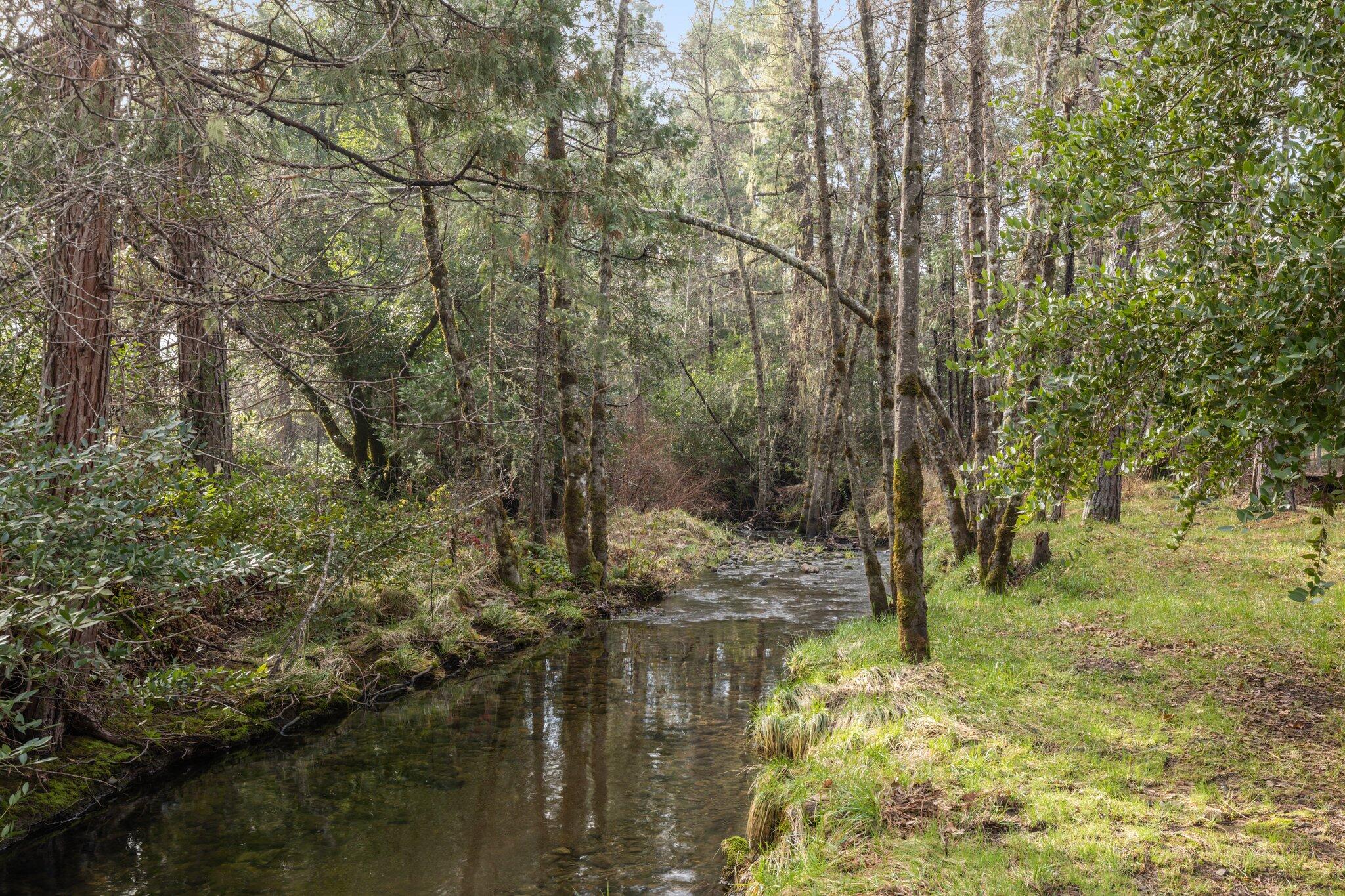 5445 West Side Road Cave Junction, OR 97523 - Photo 36 of 50 37-web-or-mls-WCIL0168