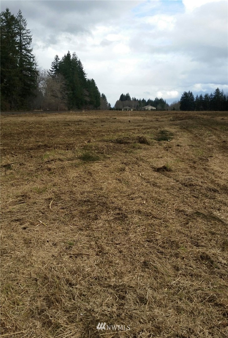 11 Winkleman Road South Montesano, WA 98563 - Photo 2 of 3 Gallery Image 2