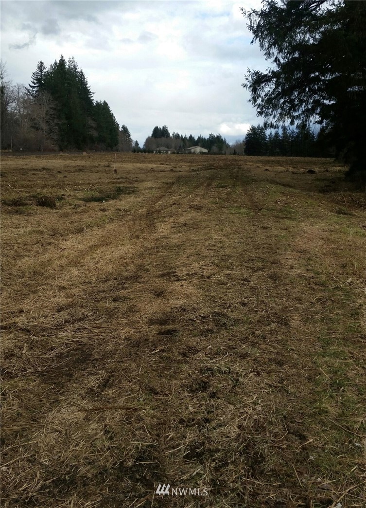 11 Winkleman Road South Montesano, WA 98563 - Photo 3 of 3 Gallery Image 3