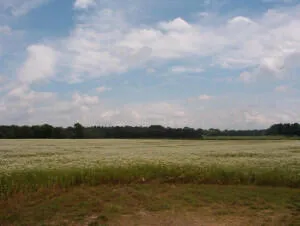 $85,000 | 2152 17 Mile Road, Kent City, MI 49330