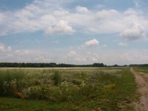 2152 17 Mile Road Kent City, MI 49330 - Photo 2 of 4 20211104045725678950000000