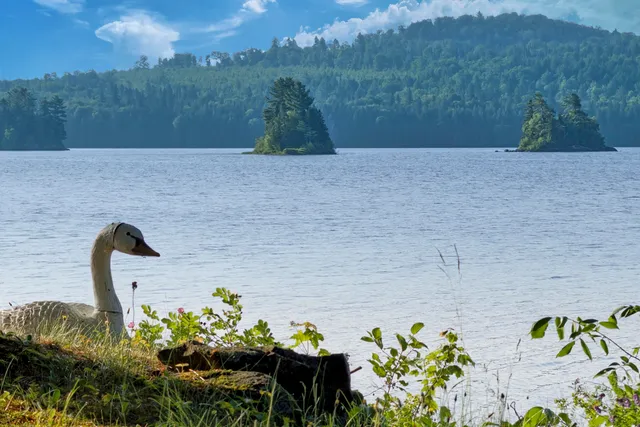 $2,400,000 | 1 Zella Island, Portage, ME 04768