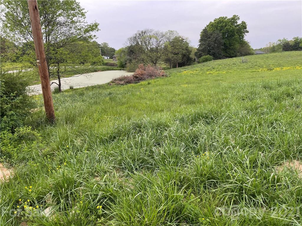 5801 Fish Road Marshville, NC 28103 - Photo 4 of 6 a view of a lush green space