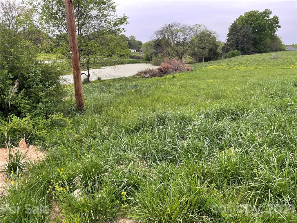 5801 Fish Road Marshville, NC 28103 - Photo 5 of 6 a view of a field with a tree