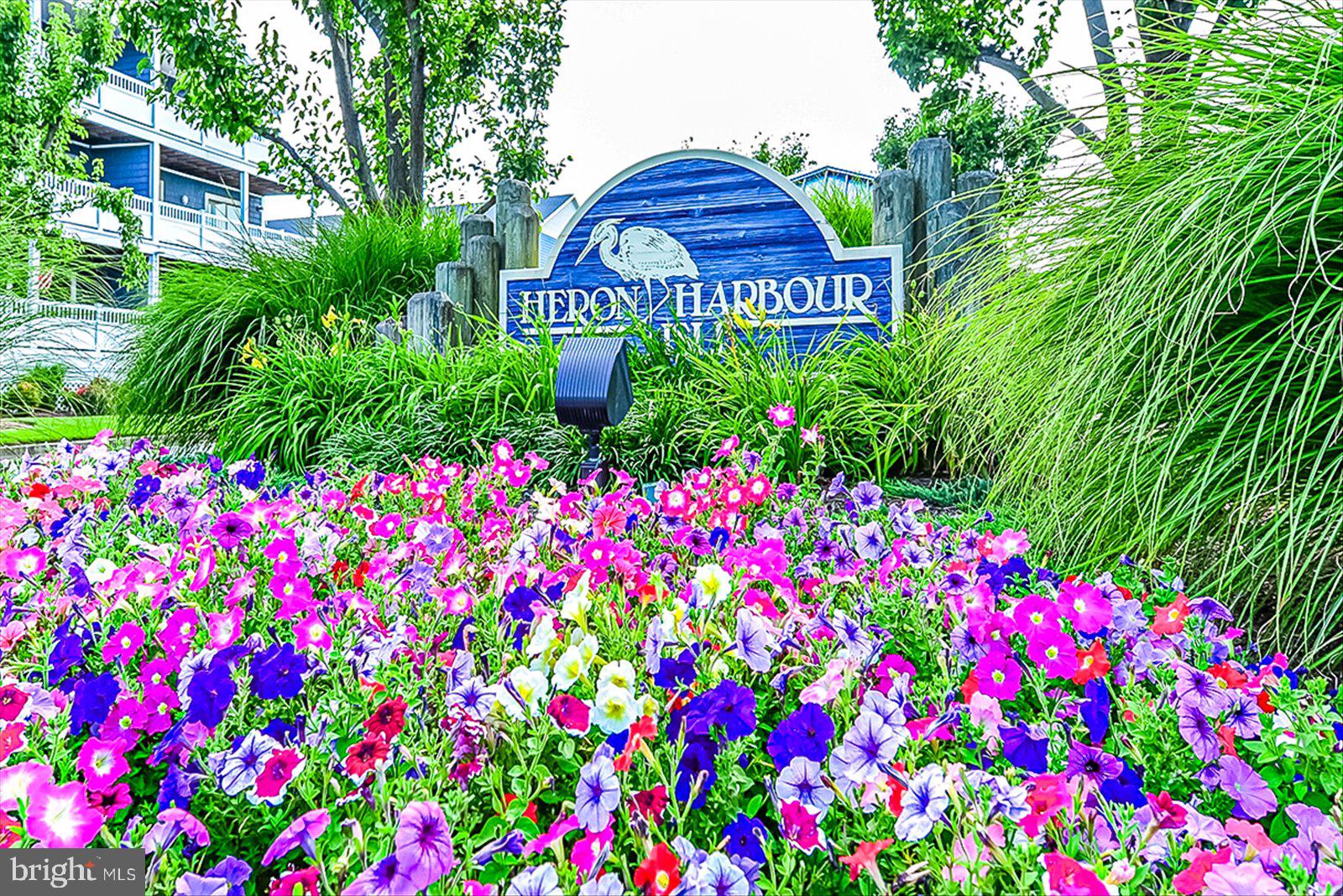 201 South Heron Drive, Unit 2D Ocean City, MD 21842 - Photo 37 of 61 a sign that is sitting in front of flowers