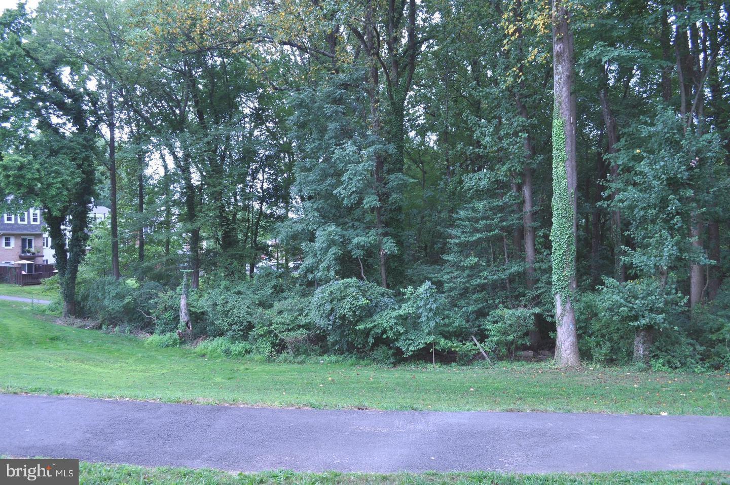 14613 Tynewick Terrace, Unit 61461 Silver Spring, MD 20906 - Photo 27 of 30 a view of a yard