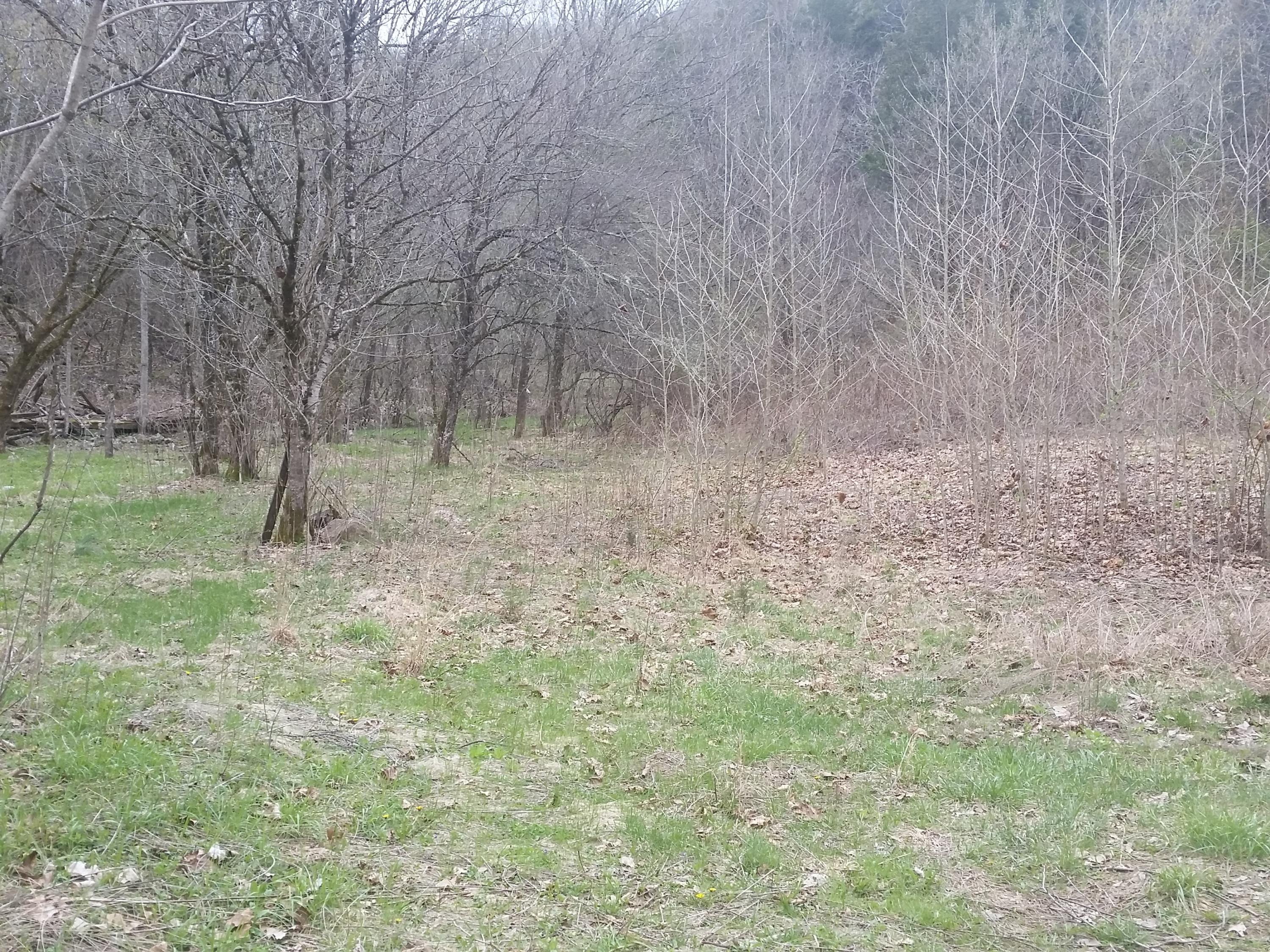 0 Powell River Road Jonesville, VA 24263 - Photo 11 of 30 2015-04-06 11.26.04