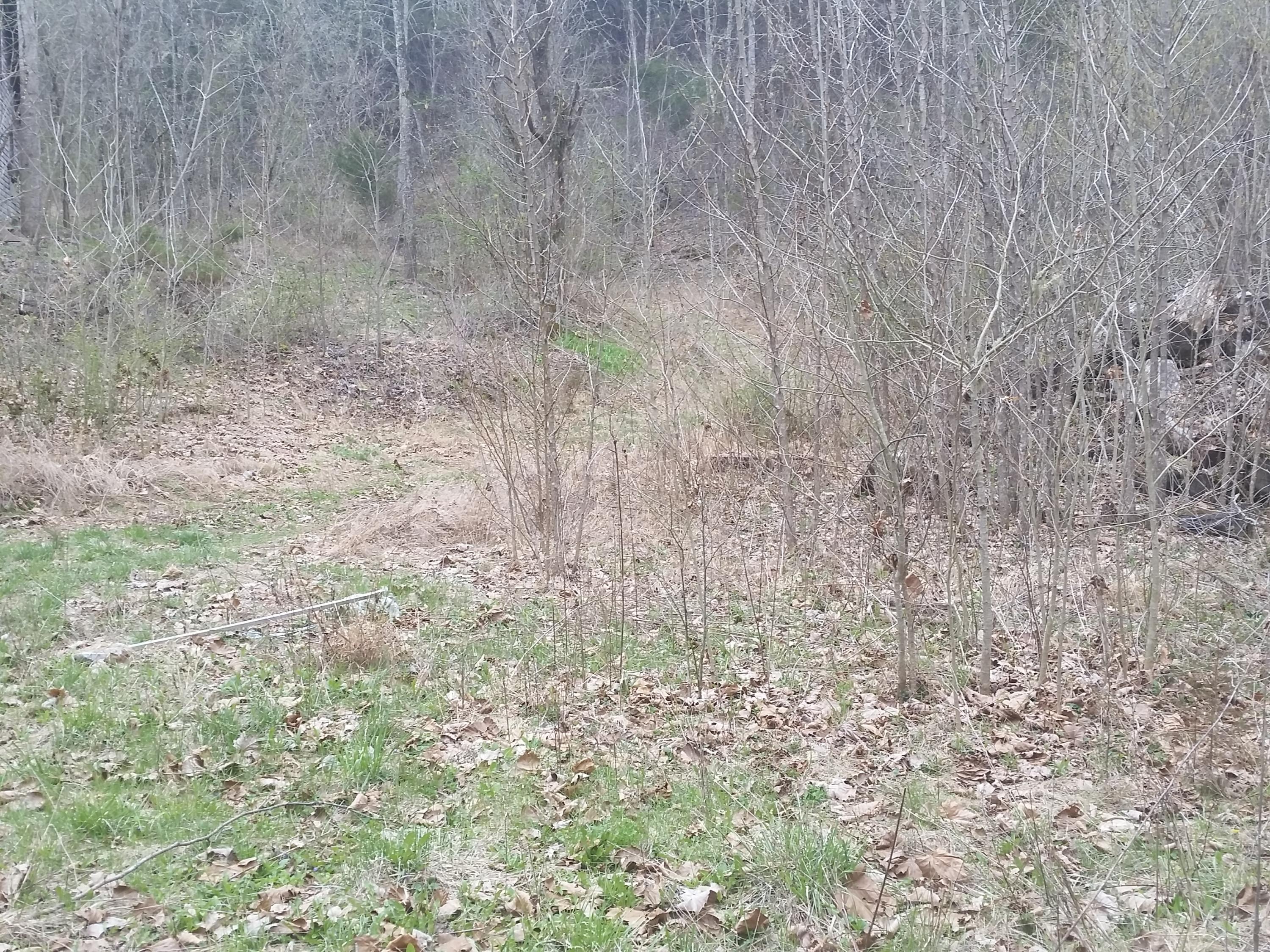 0 Powell River Road Jonesville, VA 24263 - Photo 12 of 30 2015-04-06 11.26.08