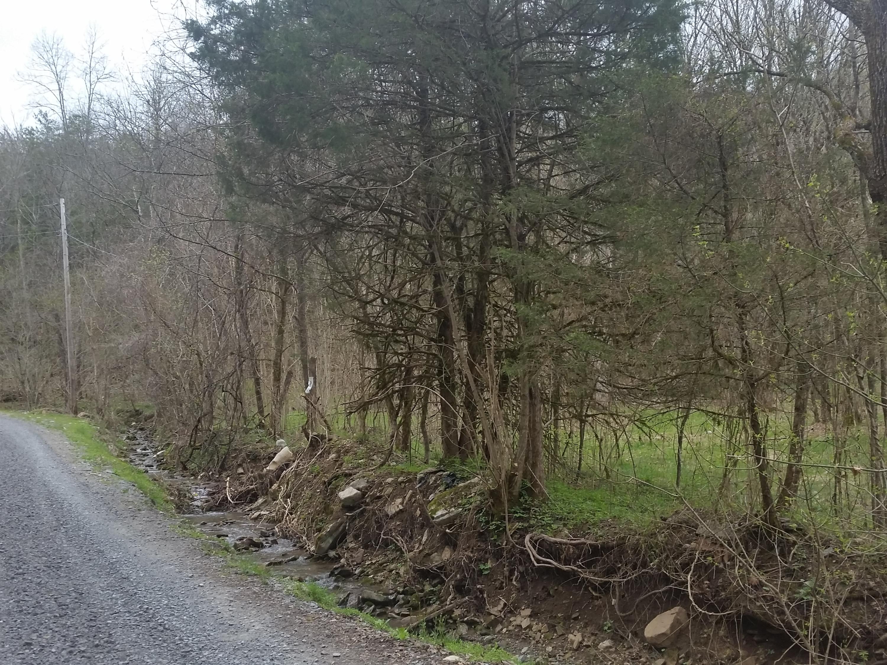 0 Powell River Road Jonesville, VA 24263 - Photo 13 of 30 2015-04-06 11.26.22