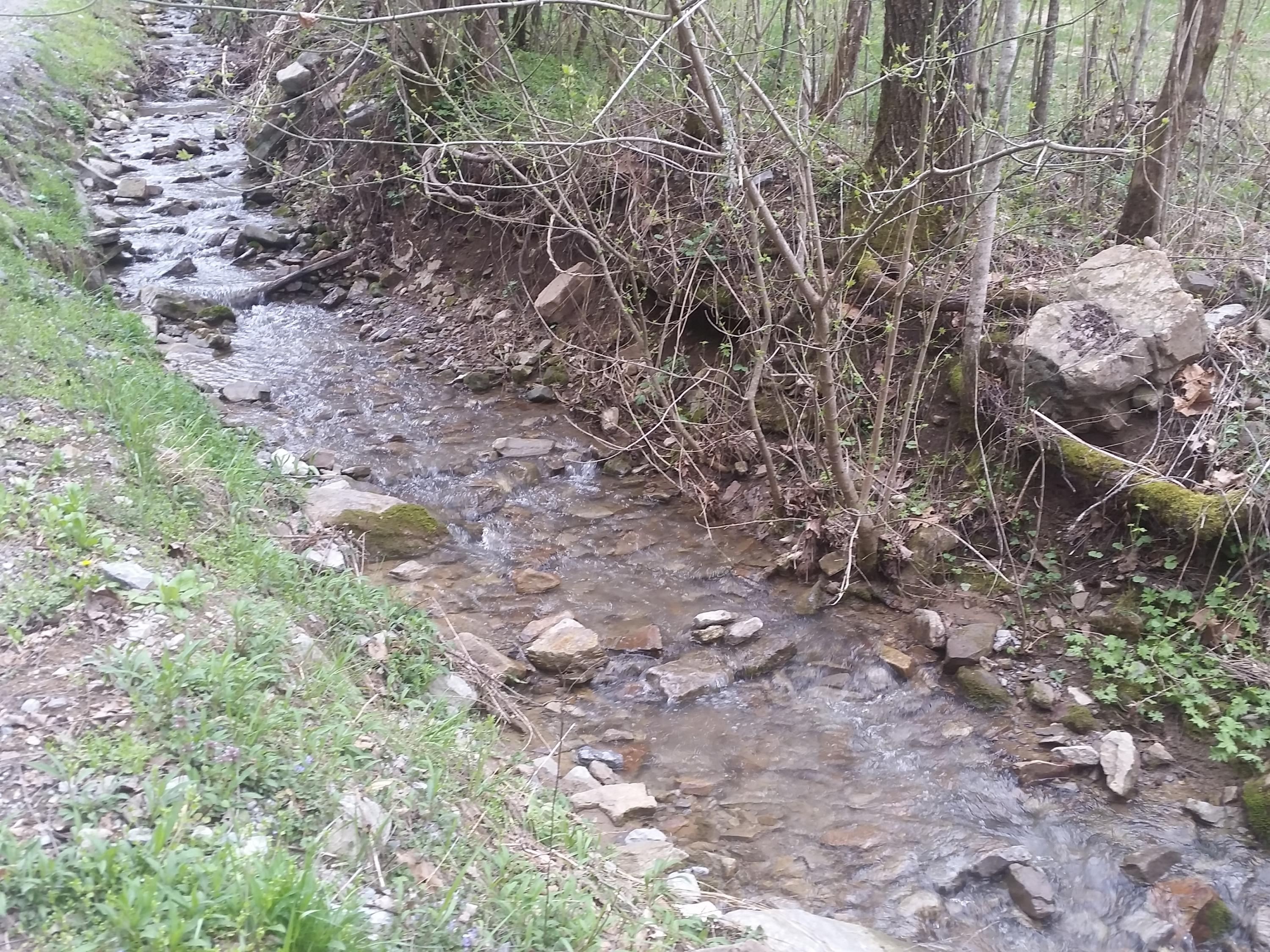 0 Powell River Road Jonesville, VA 24263 - Photo 14 of 30 2015-04-06 11.33.40