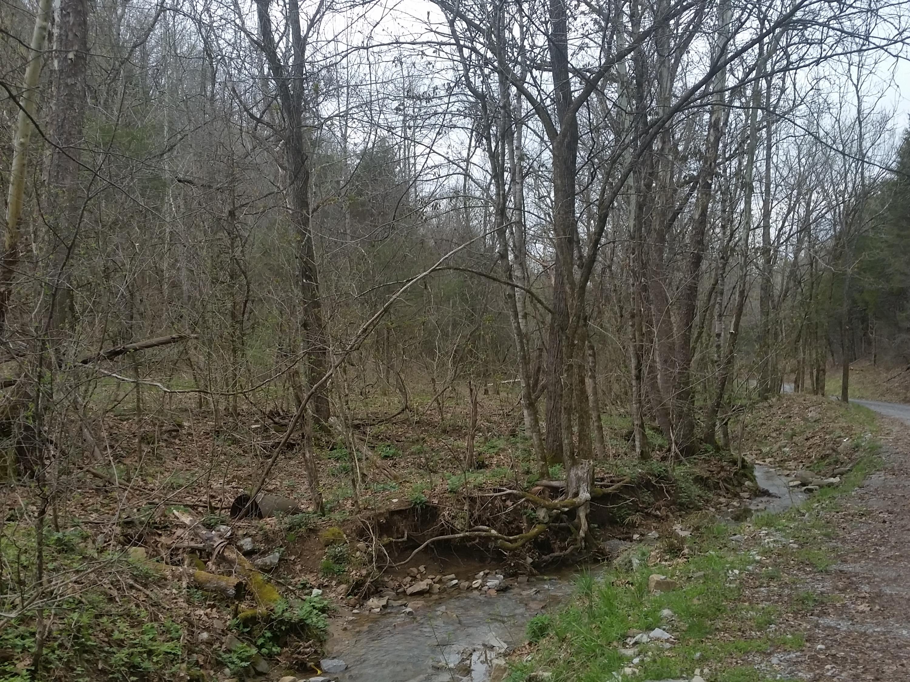 0 Powell River Road Jonesville, VA 24263 - Photo 15 of 30 2015-04-06 11.34.43
