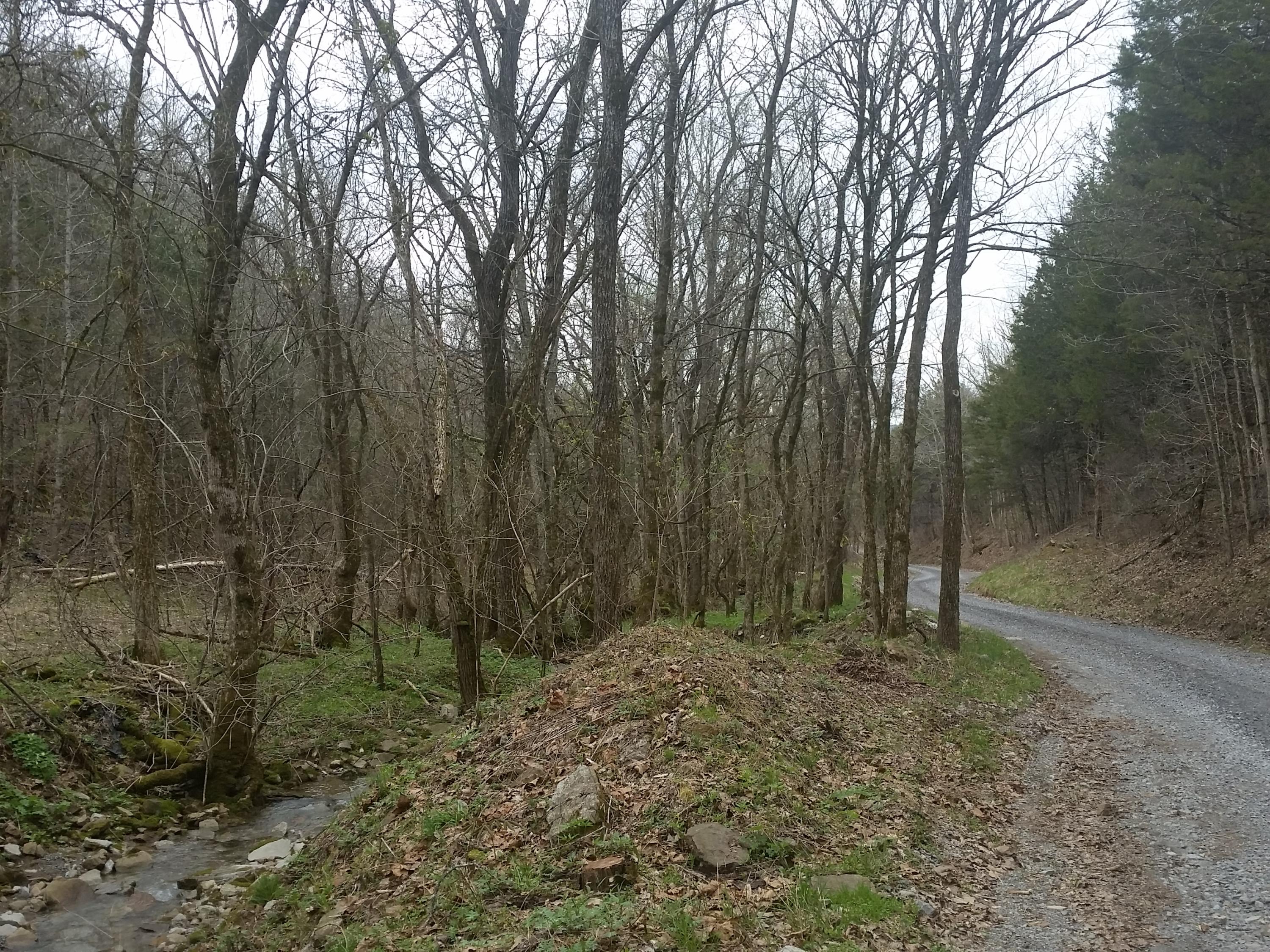 0 Powell River Road Jonesville, VA 24263 - Photo 18 of 30 2015-04-06 11.35.18