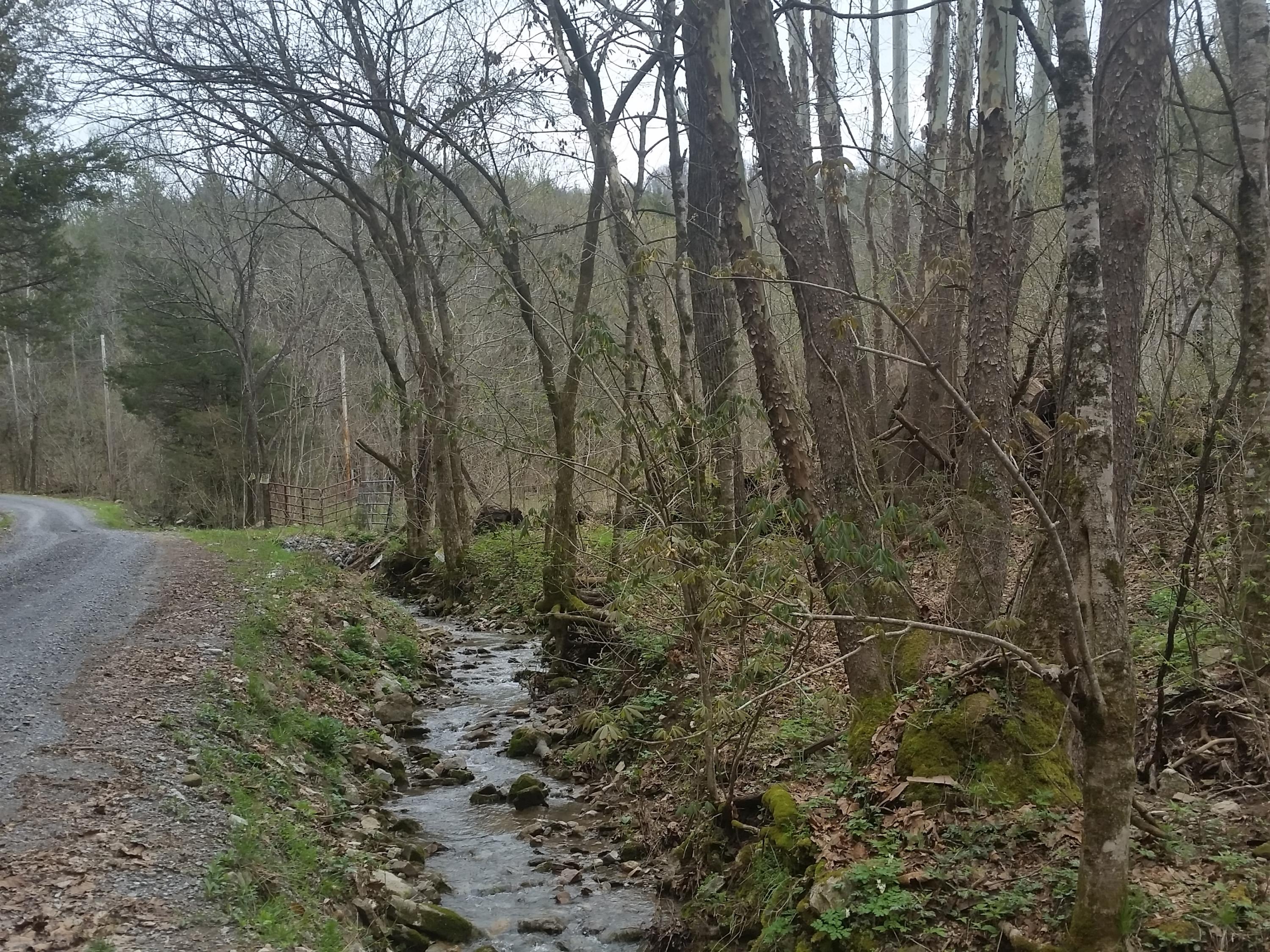 0 Powell River Road Jonesville, VA 24263 - Photo 19 of 30 2015-04-06 11.35.31