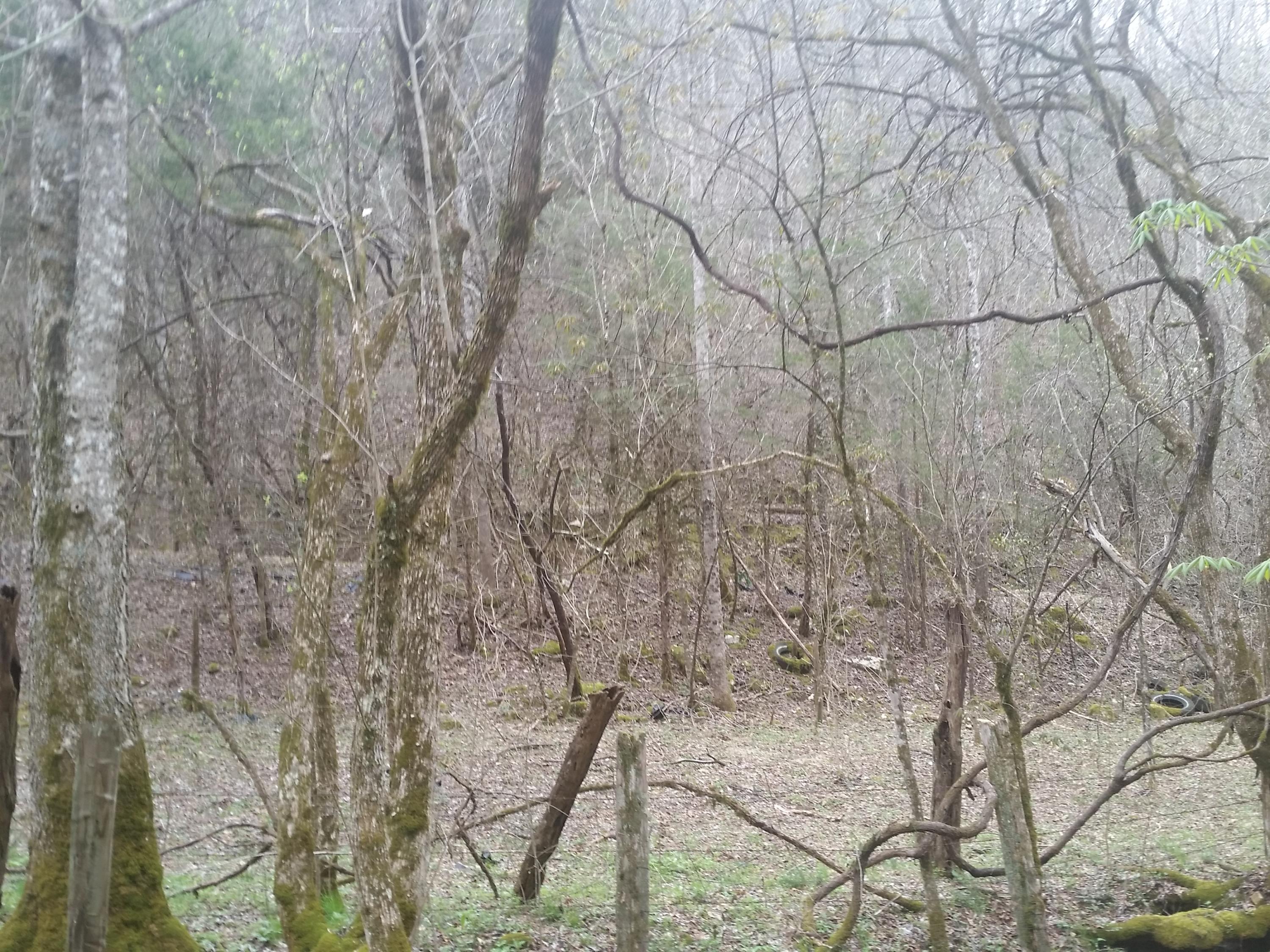 0 Powell River Road Jonesville, VA 24263 - Photo 20 of 30 2015-04-06 11.36.42