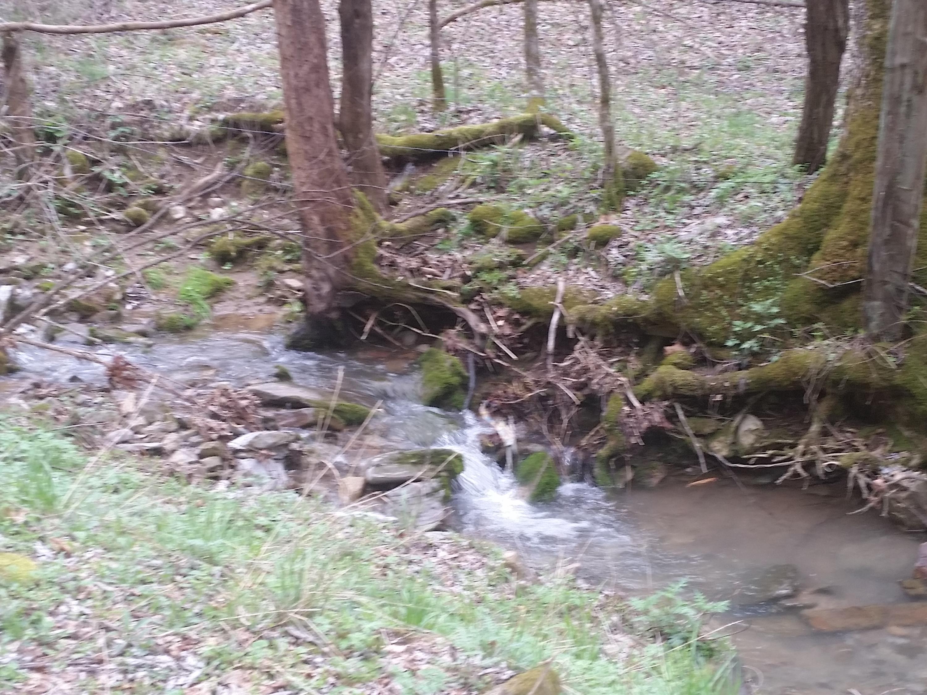 0 Powell River Road Jonesville, VA 24263 - Photo 21 of 30 2015-04-06 11.36.56