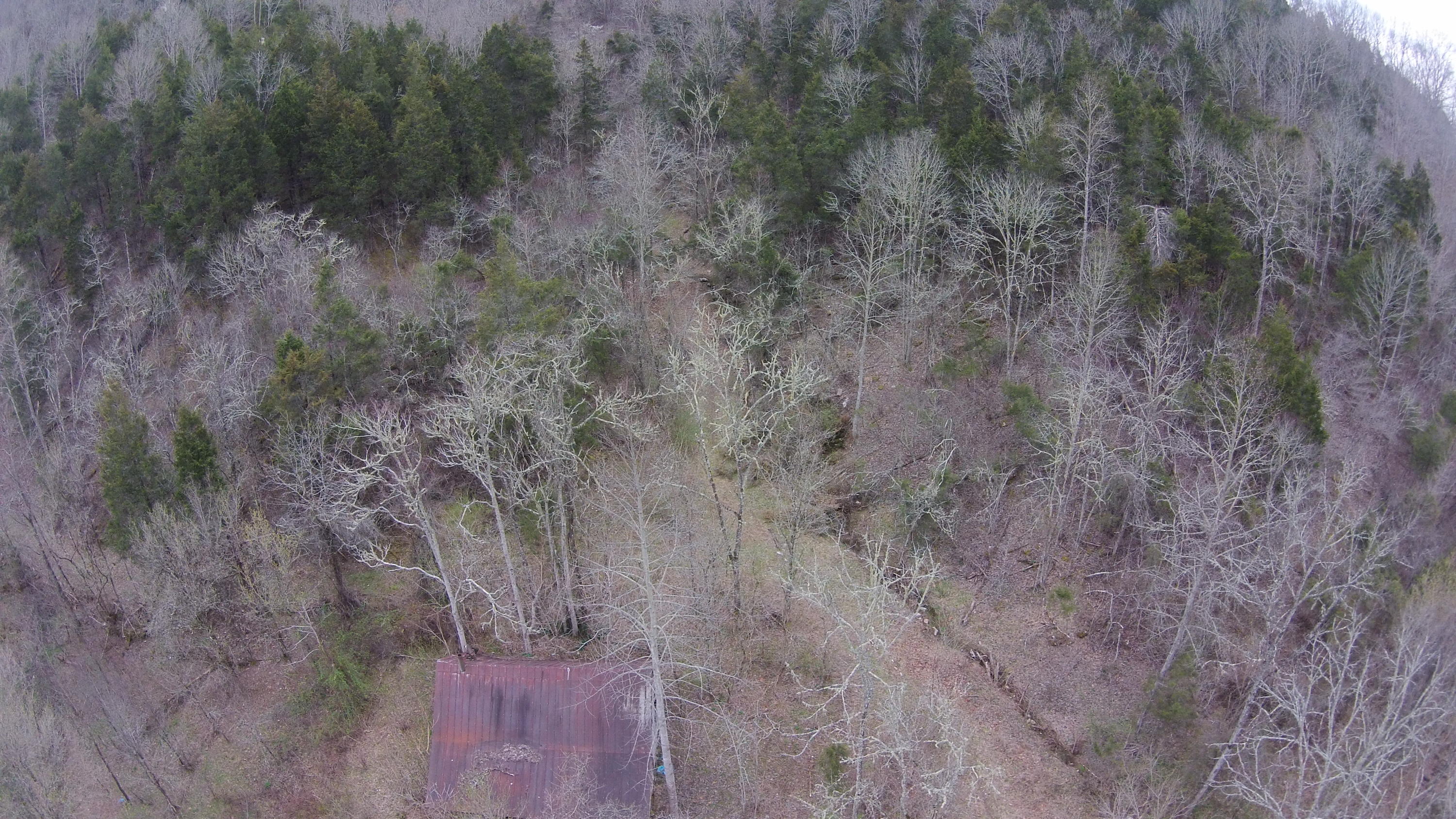 0 Powell River Road Jonesville, VA 24263 - Photo 22 of 30 DJI00005