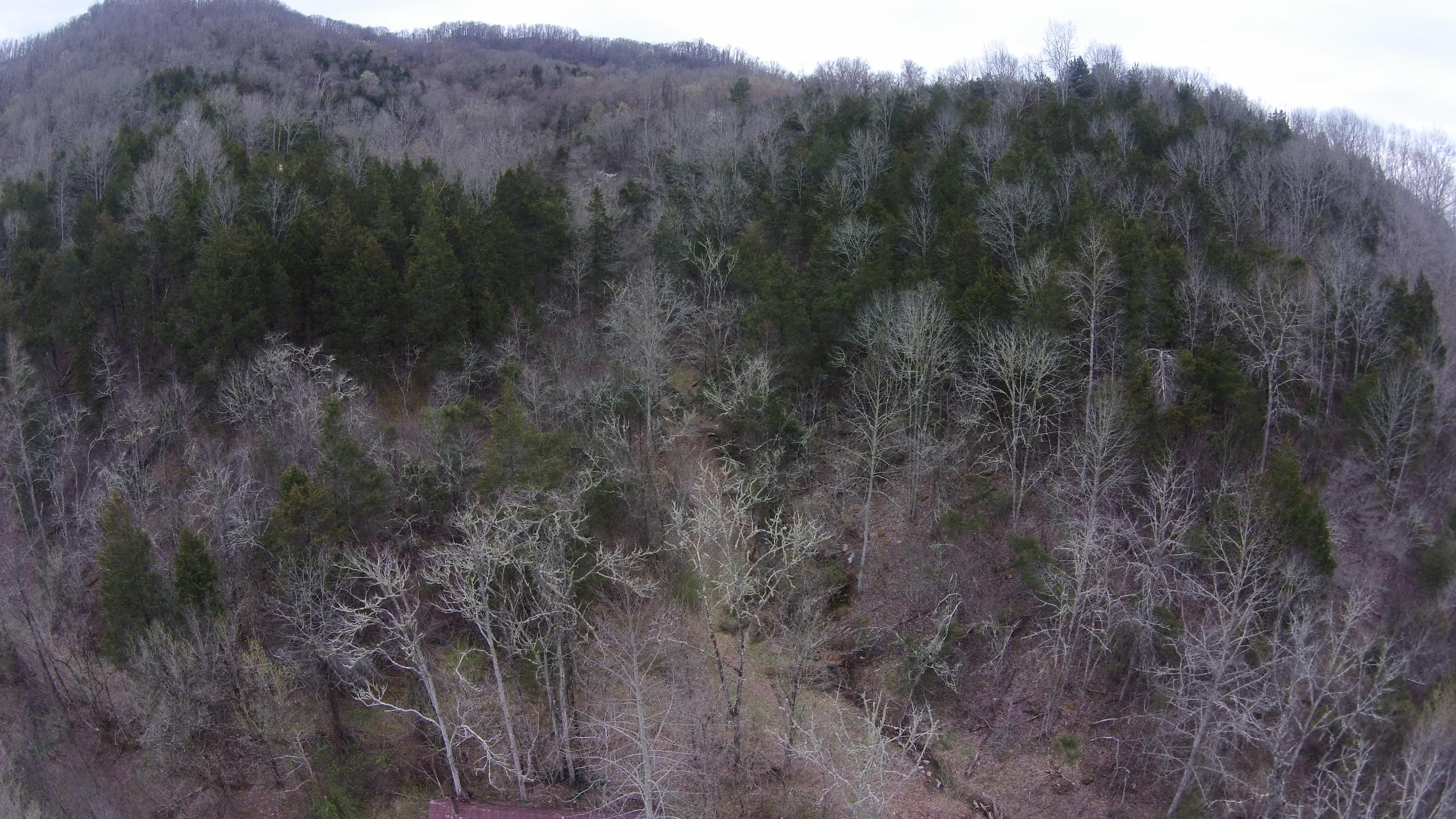 0 Powell River Road Jonesville, VA 24263 - Photo 23 of 30 DJI00006