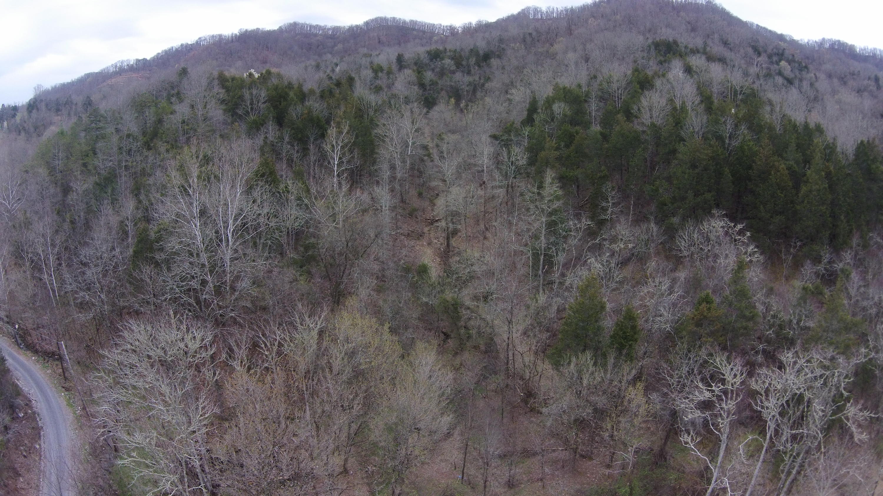 0 Powell River Road Jonesville, VA 24263 - Photo 24 of 30 DJI00007