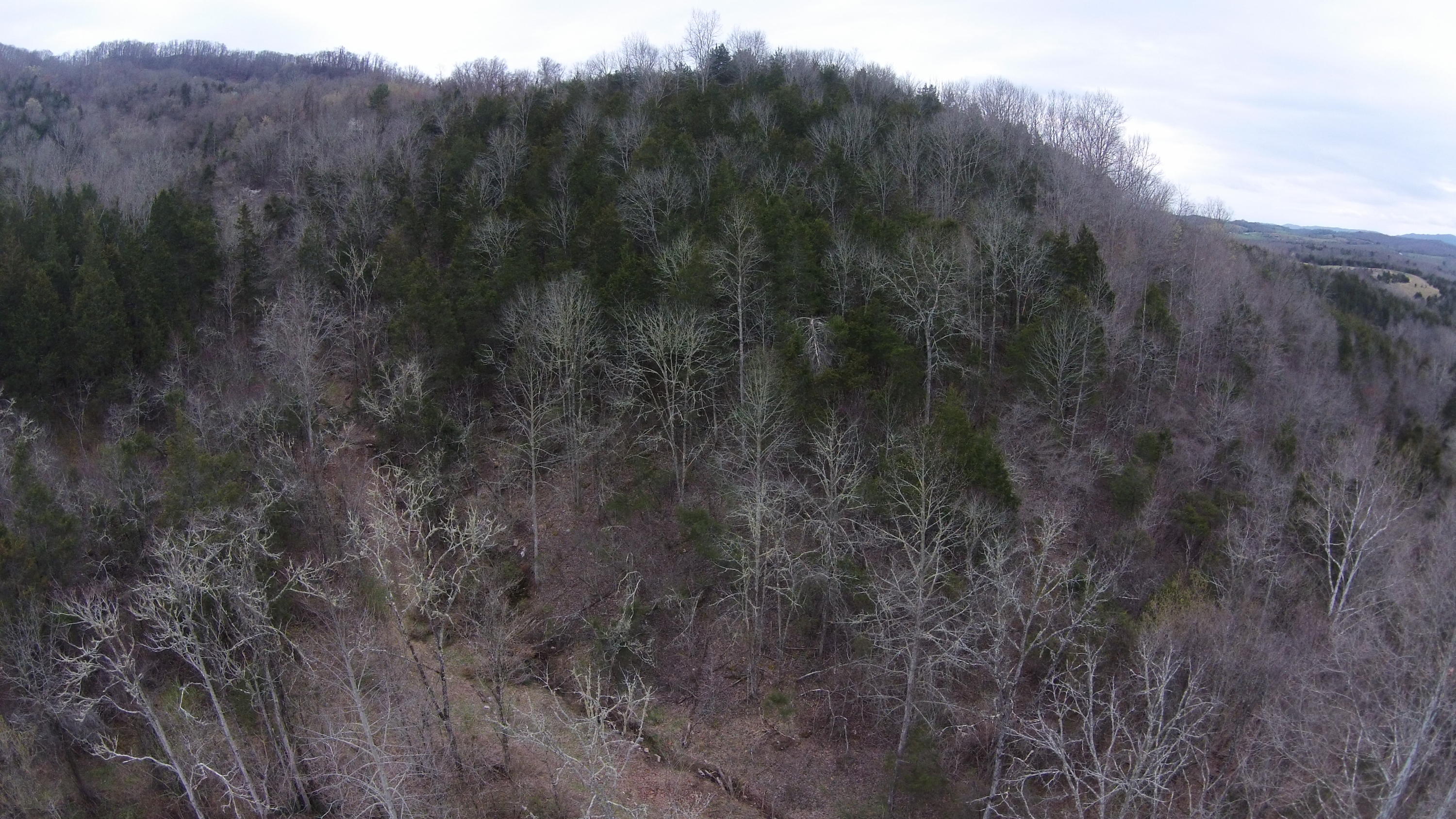 0 Powell River Road Jonesville, VA 24263 - Photo 25 of 30 DJI00009