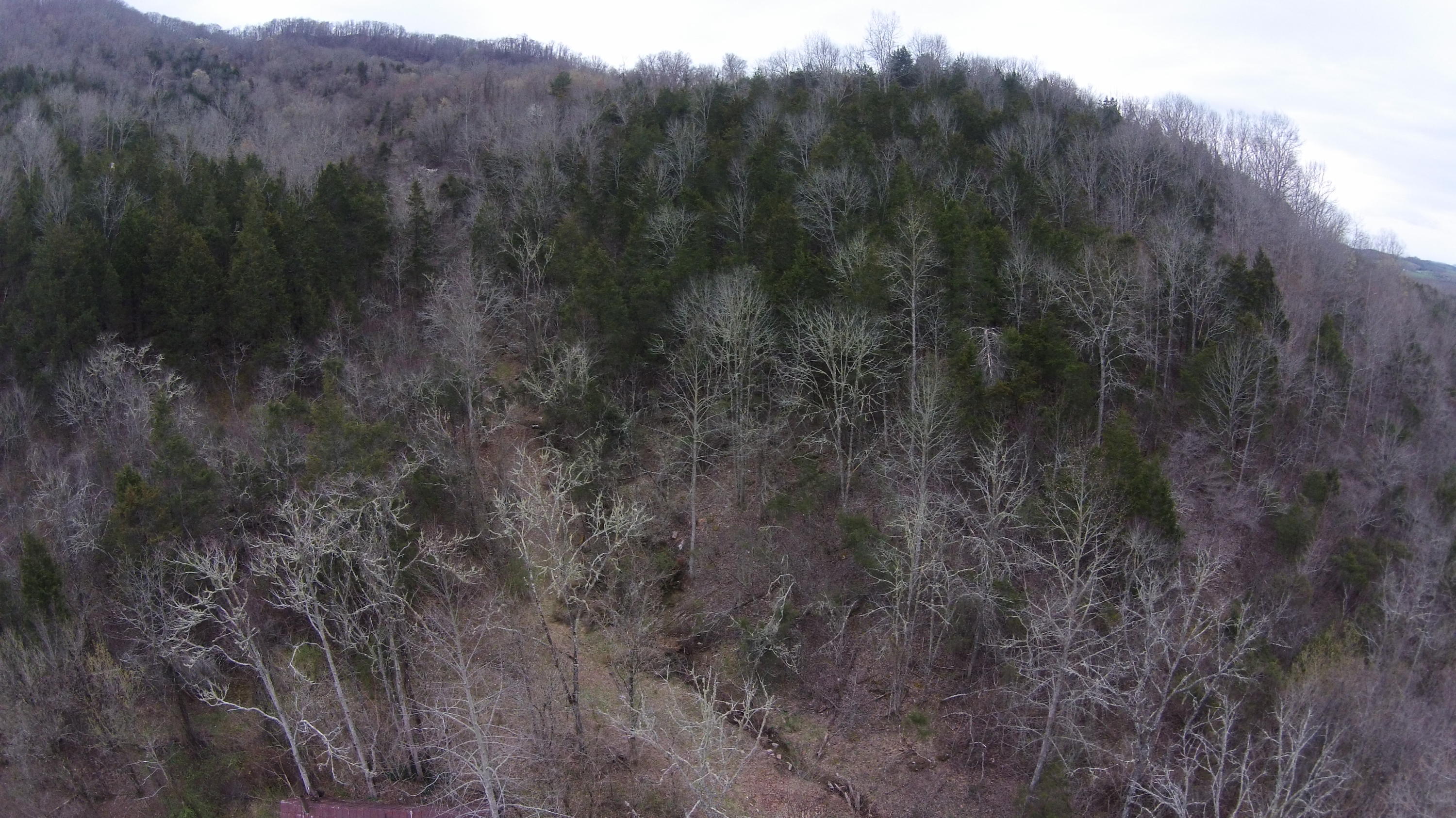 0 Powell River Road Jonesville, VA 24263 - Photo 26 of 30 DJI00011