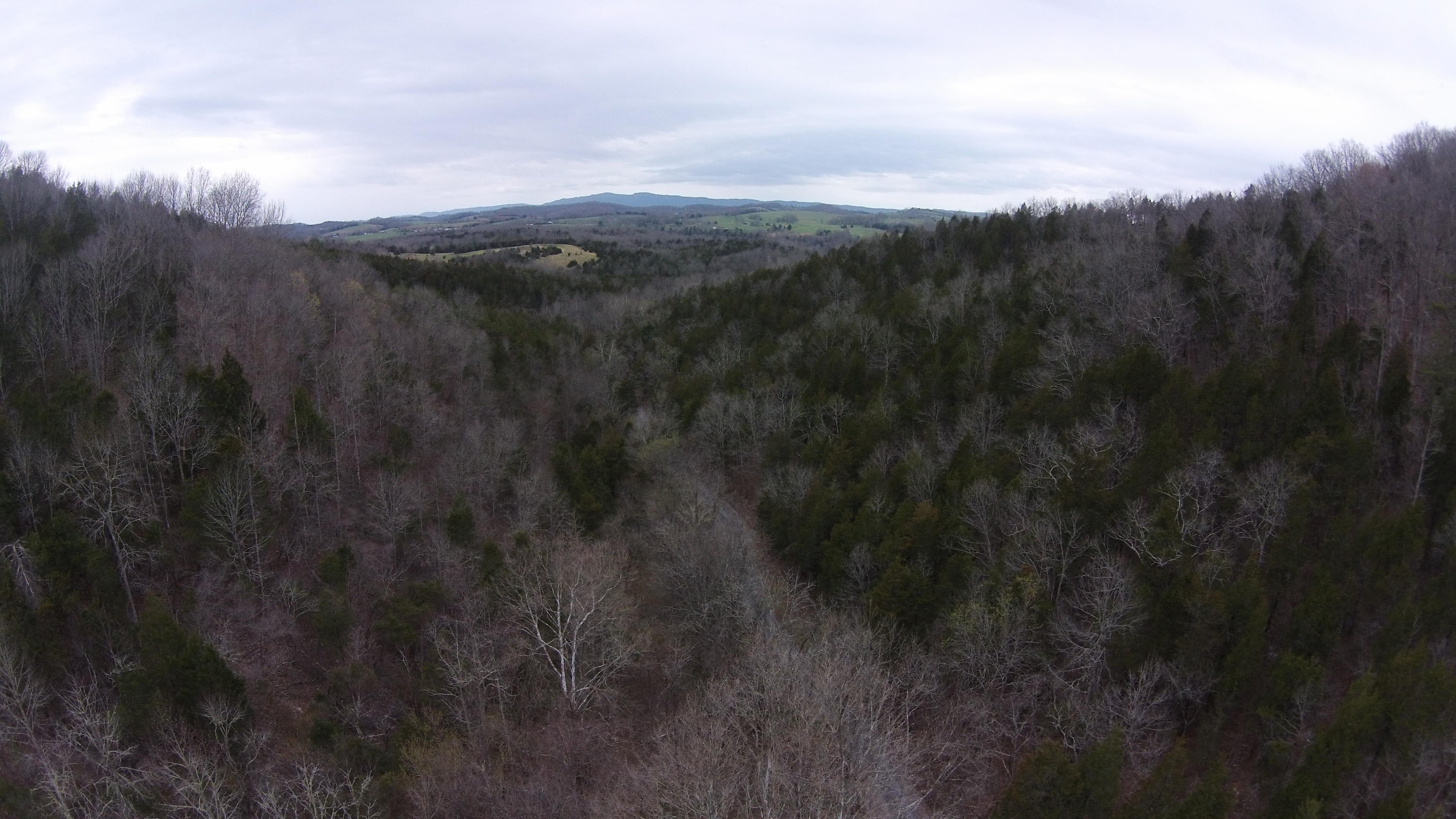 0 Powell River Road Jonesville, VA 24263 - Photo 27 of 30 DJI00014