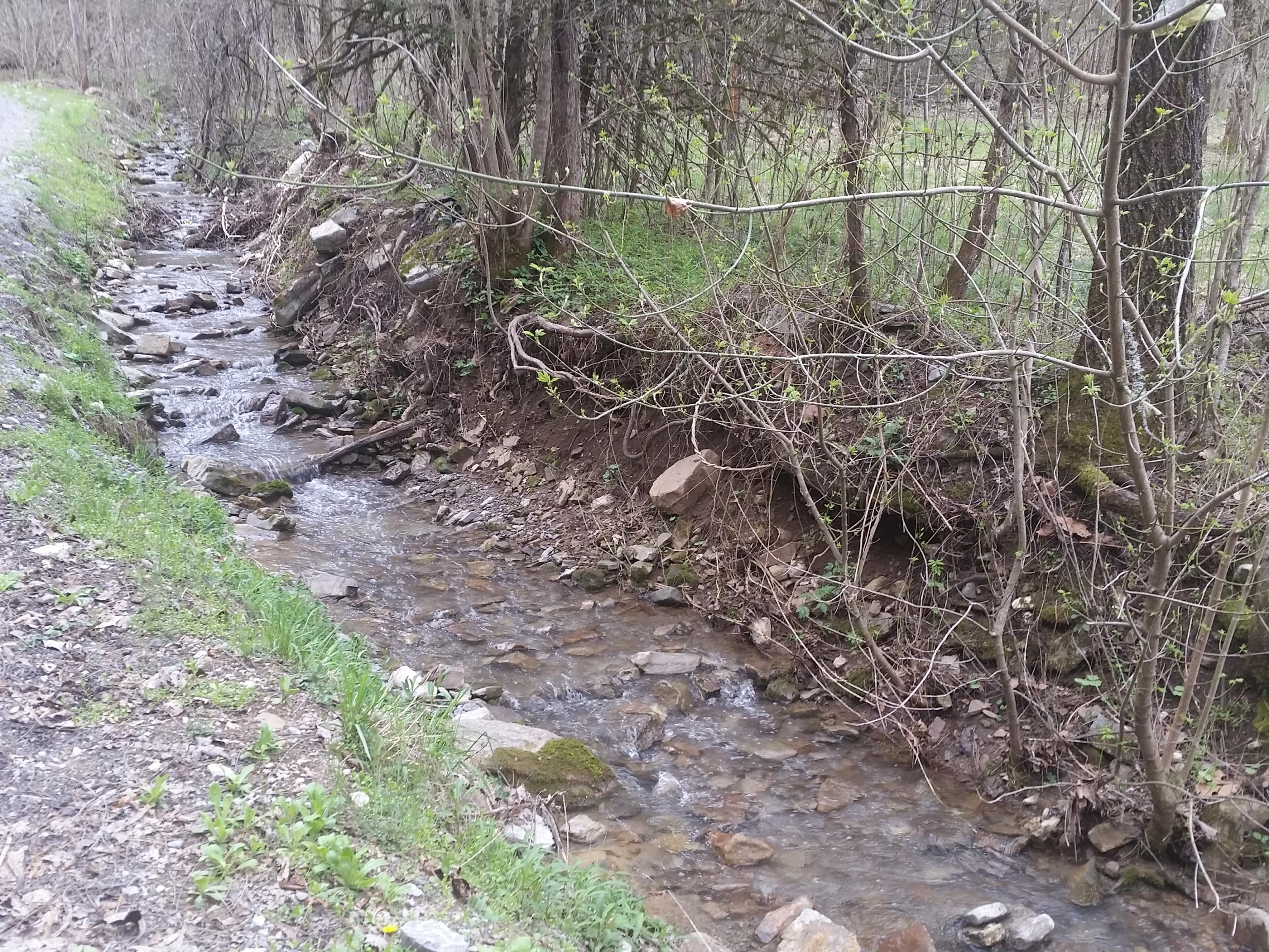 0 Powell River Road Jonesville, VA 24263 - Photo 6 of 30 2015-04-06 11.26.29