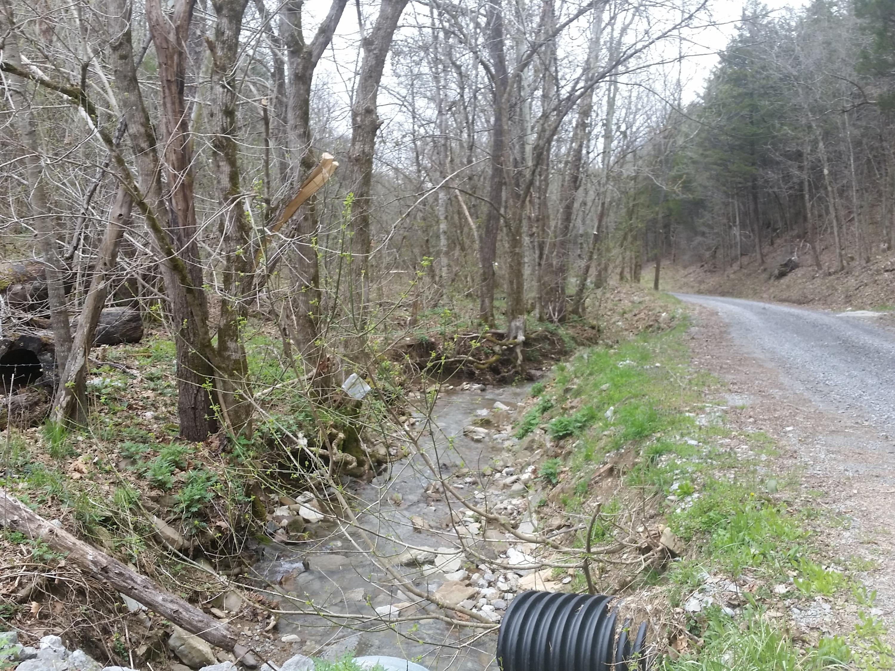 0 Powell River Road Jonesville, VA 24263 - Photo 8 of 30 2015-04-06 11.22.15