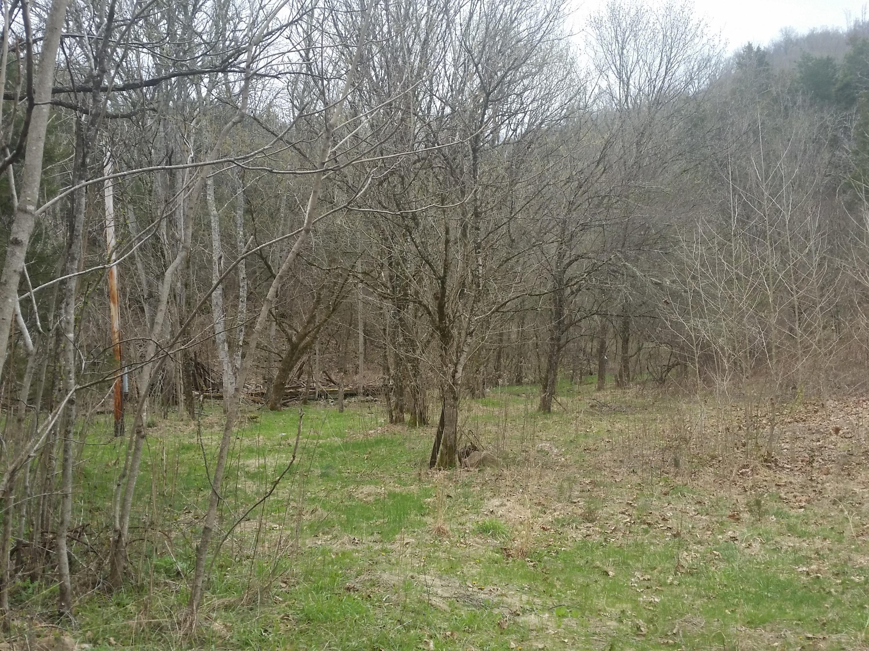 0 Powell River Road Jonesville, VA 24263 - Photo 9 of 30 2015-04-06 11.25.50
