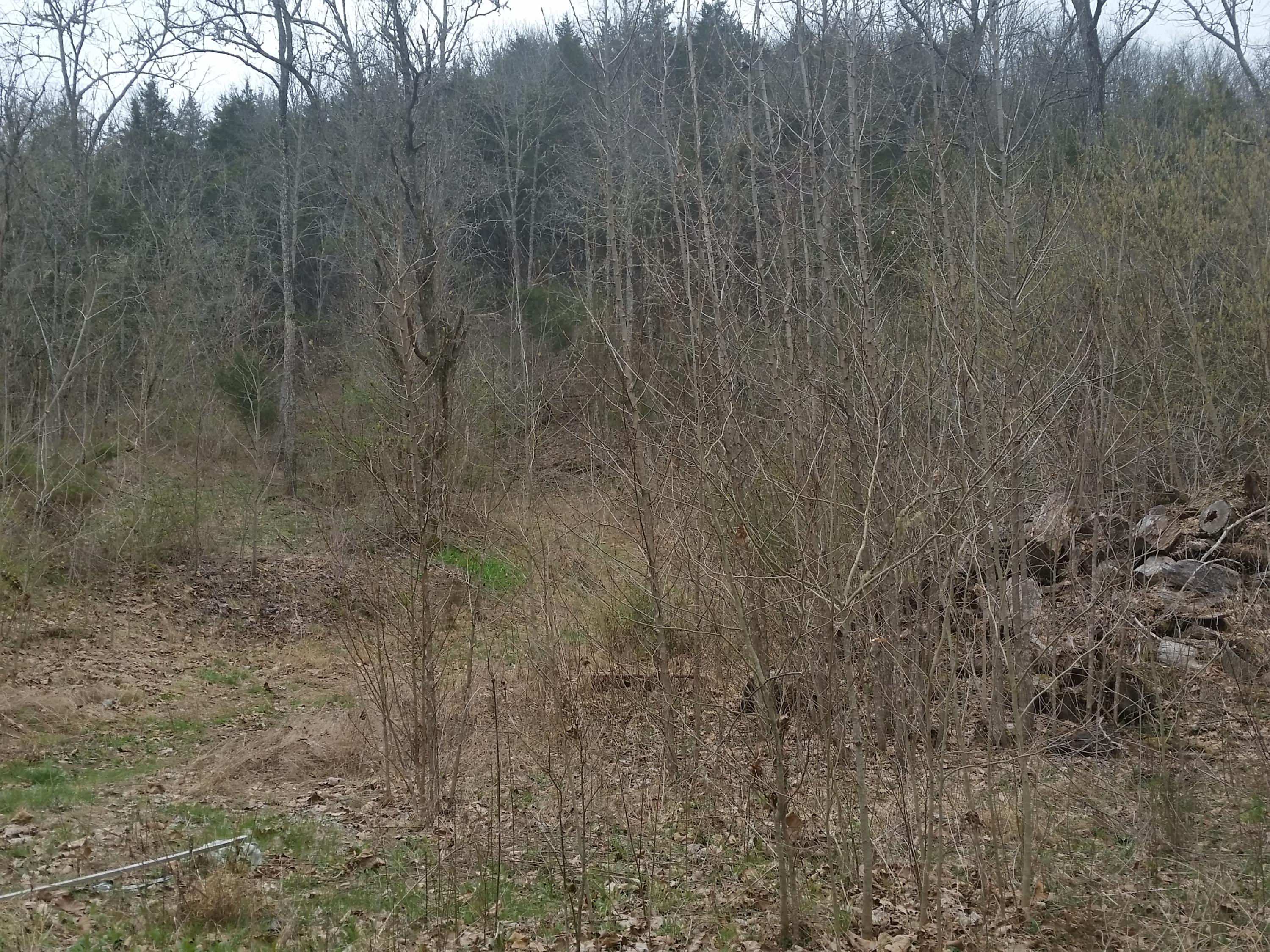 0 Powell River Road Jonesville, VA 24263 - Photo 10 of 30 2015-04-06 11.25.56