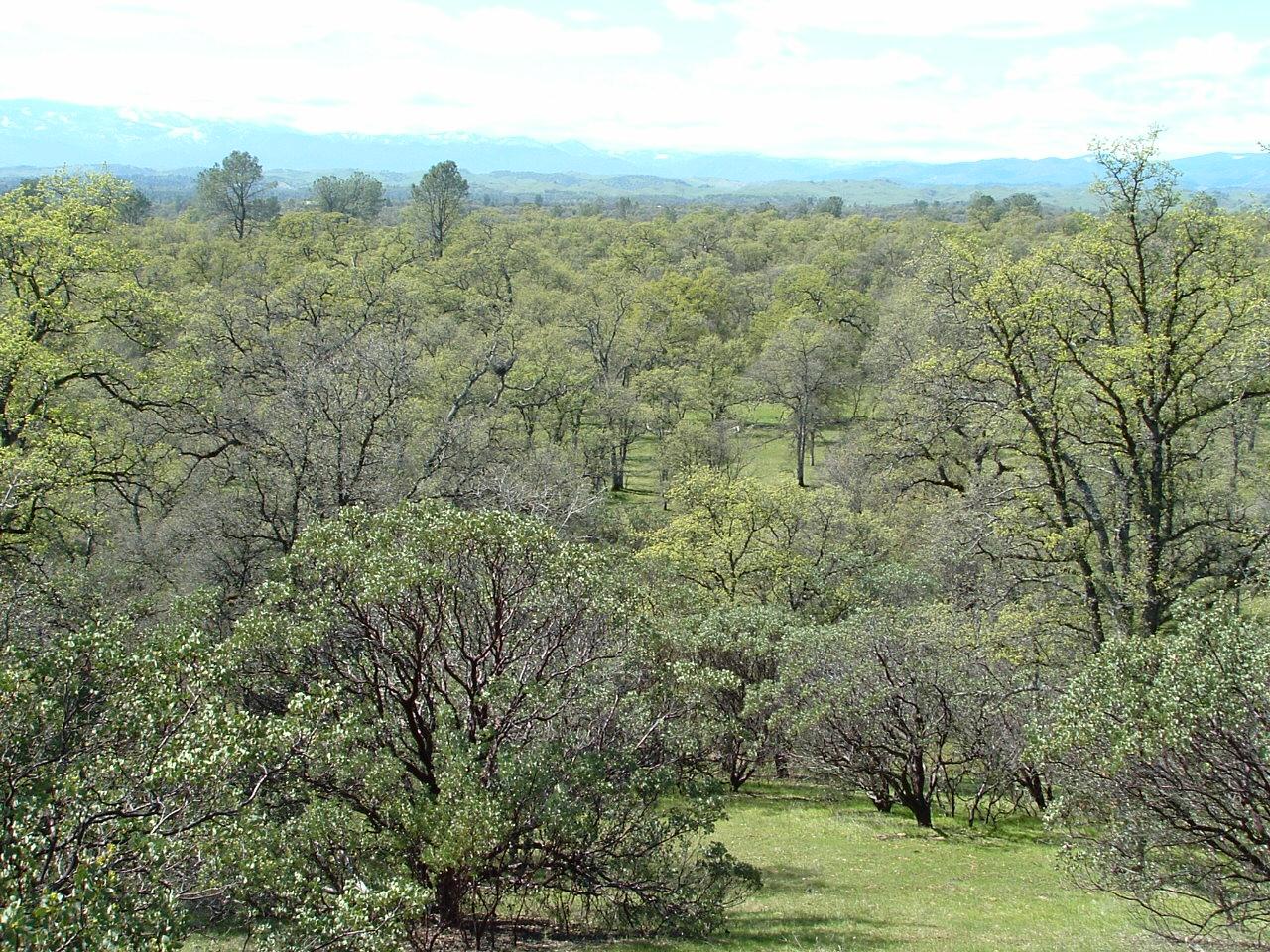 Two 2 Feathers Road Anderson, CA 96007 - Photo 1 of 6 Looking down on the property.