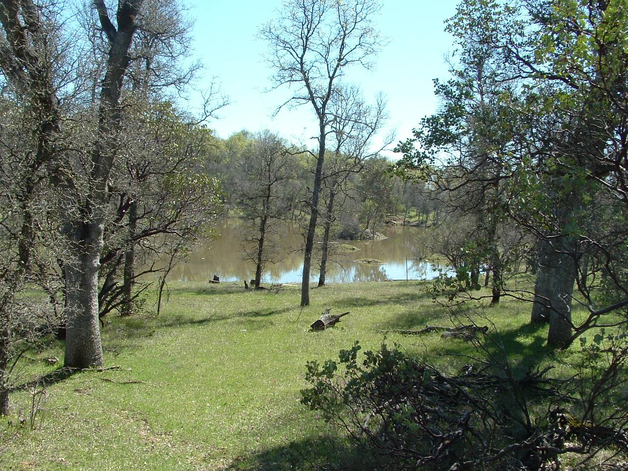 Two 2 Feathers Road Anderson, CA 96007 - Photo 6 of 6 View of Neighbors Pond from property.