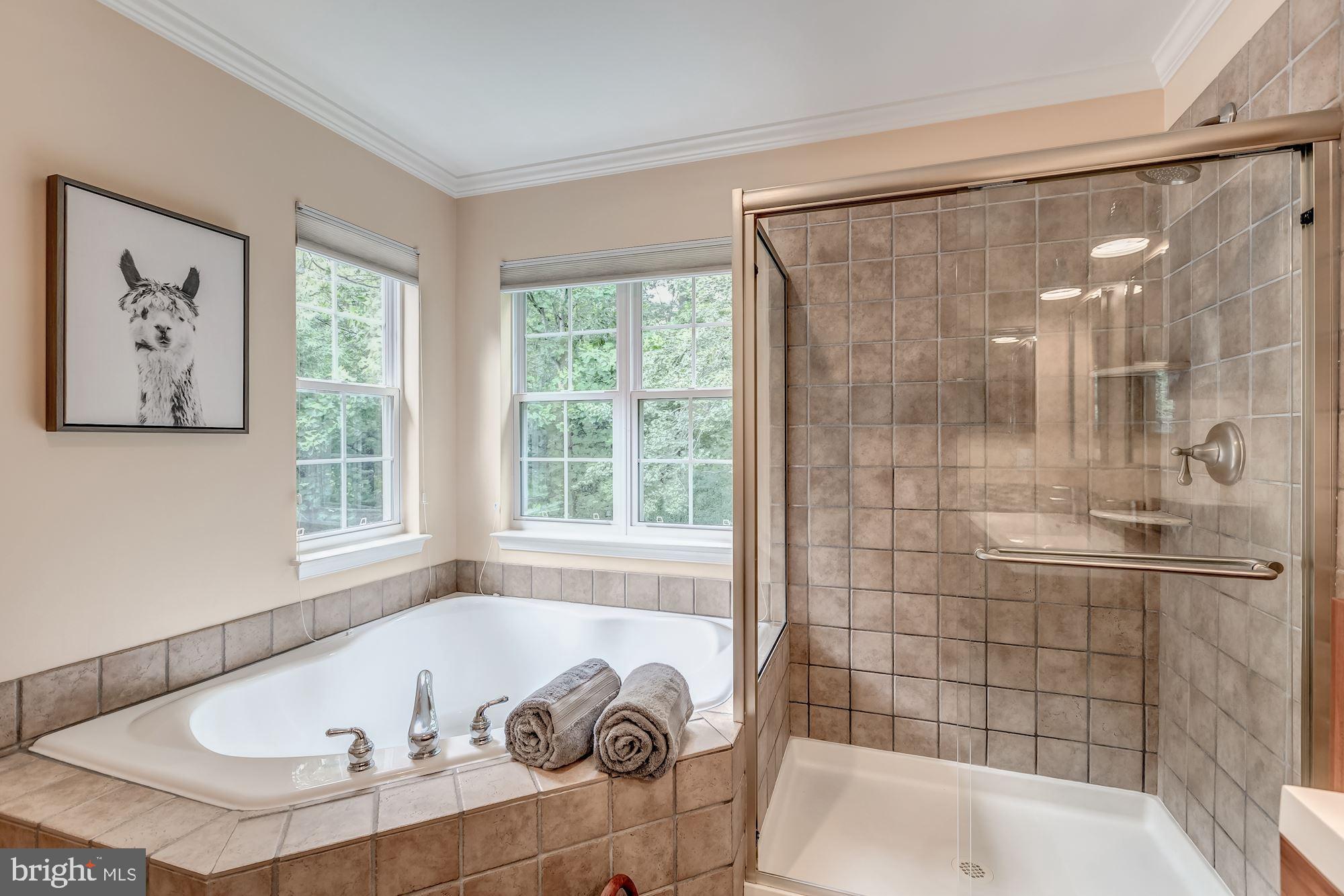 1205 Wild Hawthorn Way Reston, VA 20194 - Photo 35 of 53 Updated spa-like MBA has tile shower & tub.