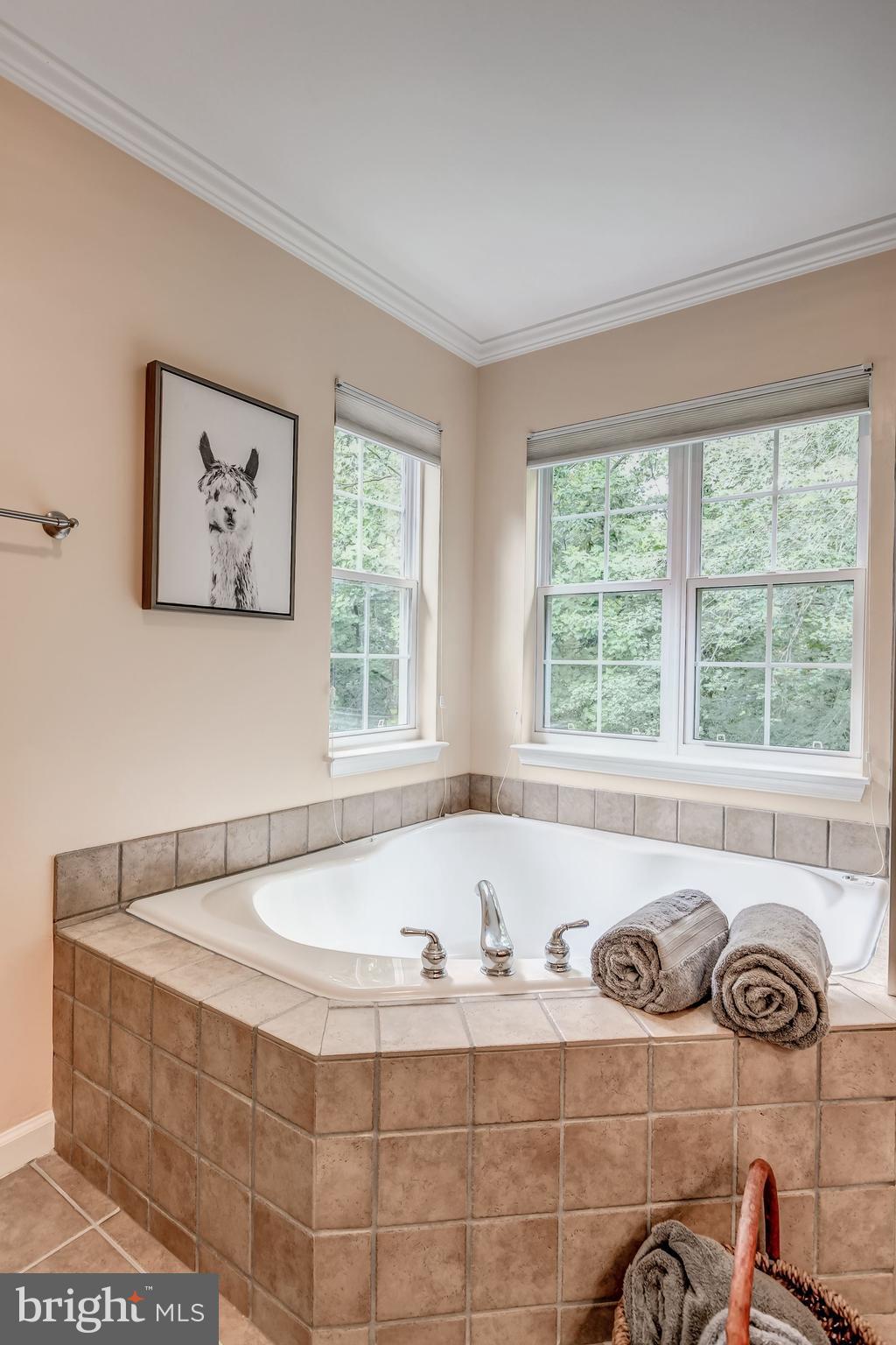 1205 Wild Hawthorn Way Reston, VA 20194 - Photo 37 of 53 Soaking tub for "2" surrounded by views of trees