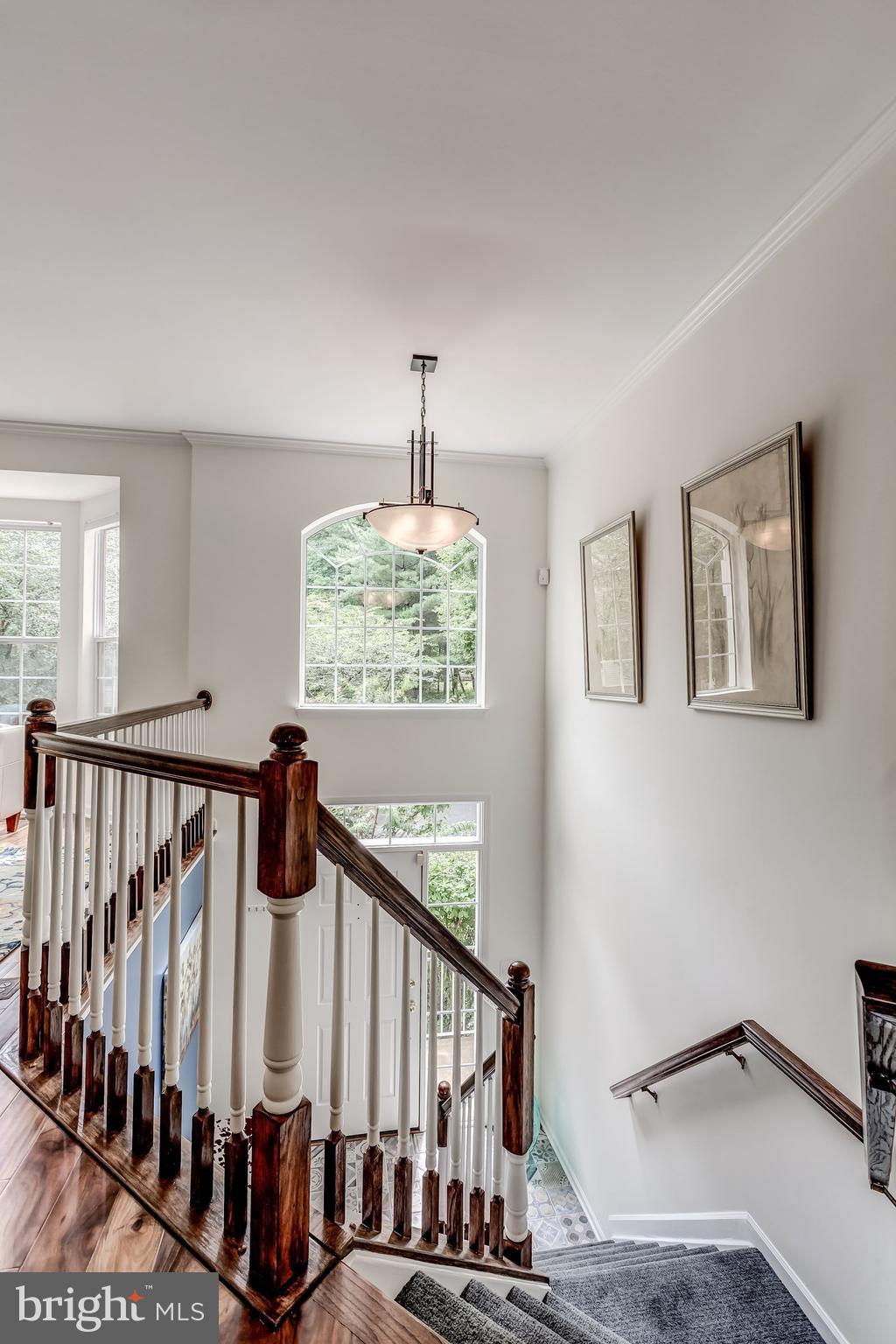 1205 Wild Hawthorn Way Reston, VA 20194 - Photo 7 of 53 Tons of Windows bring in natural light throughout