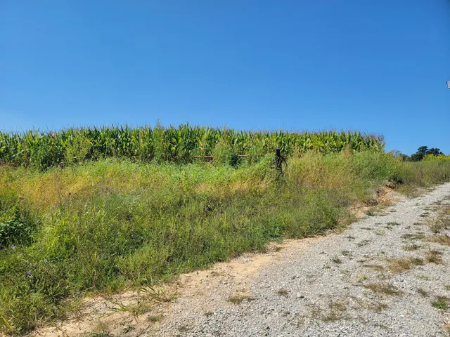 $249,900 | 7132 Highway 129, Versailles, IN 47042