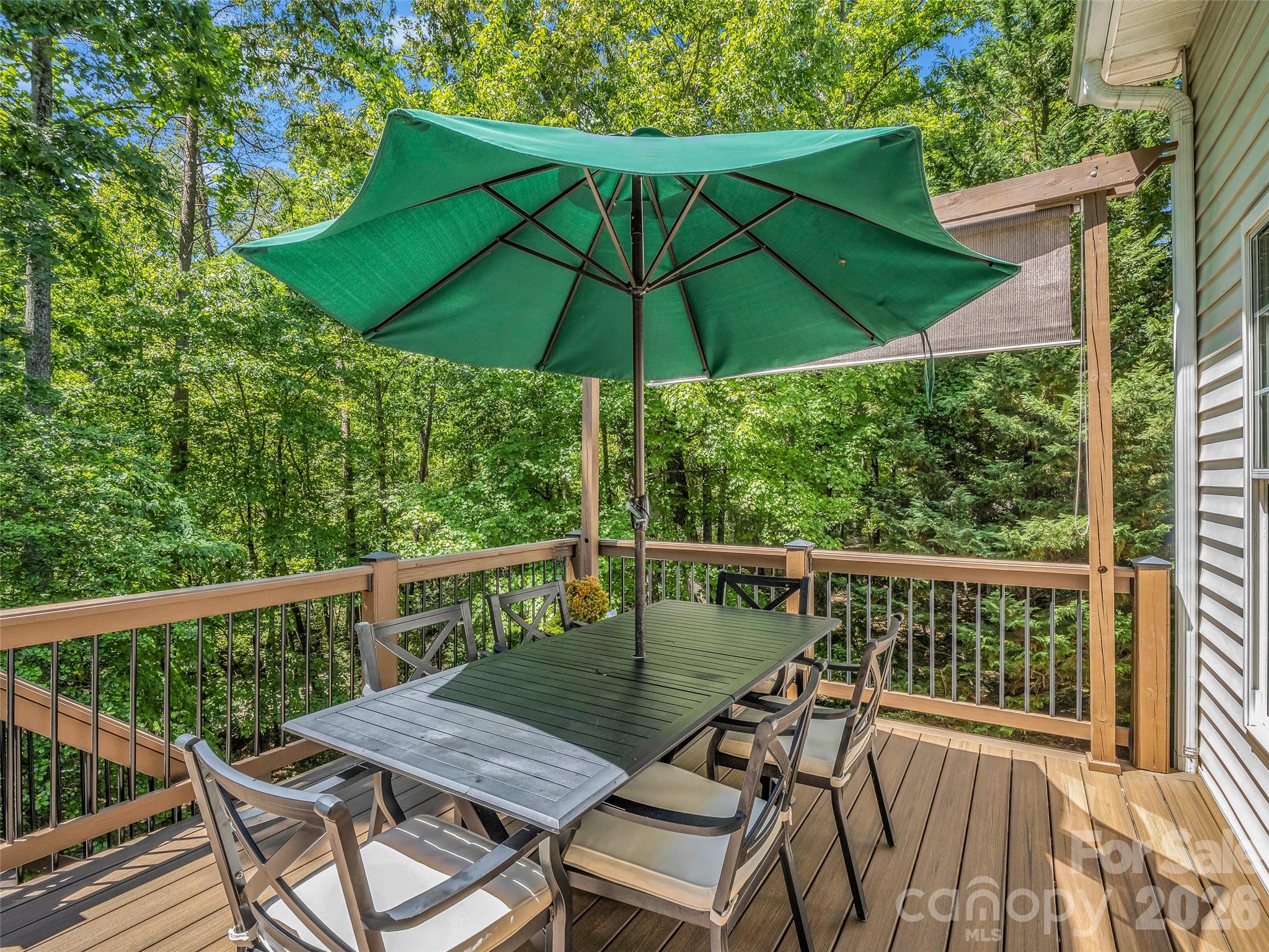 1042 Columbine Road Asheville, NC 28704 - Photo 20 of 48