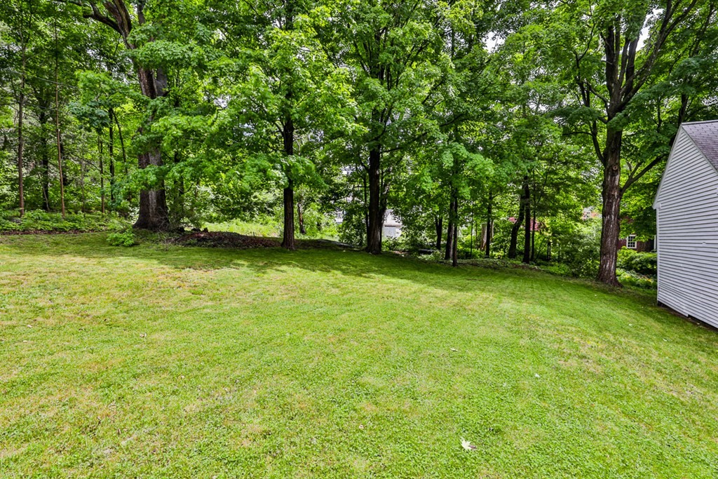 14 Still River Road Harvard, MA 01451 - Photo 3 of 39 a view of a green yard