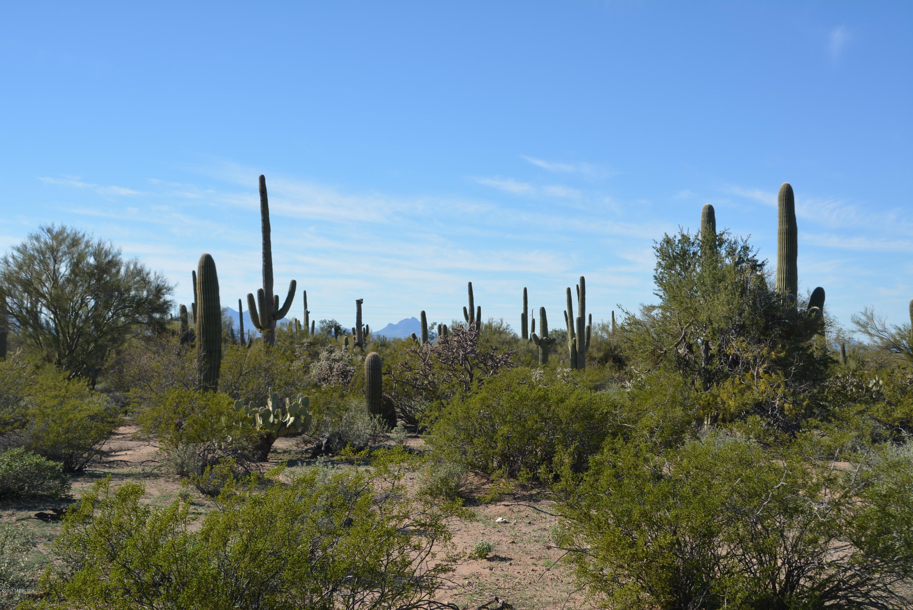 11700 West Rudasill Road, Unit LOT 4 Tucson, AZ 85743 - Photo 31 of 33