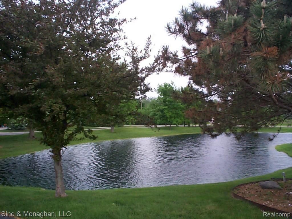 4300 Yankee Road St. Clair, MI 48079 - Photo 19 of 36 19 Pond 4300 Yankee Rd.jpg