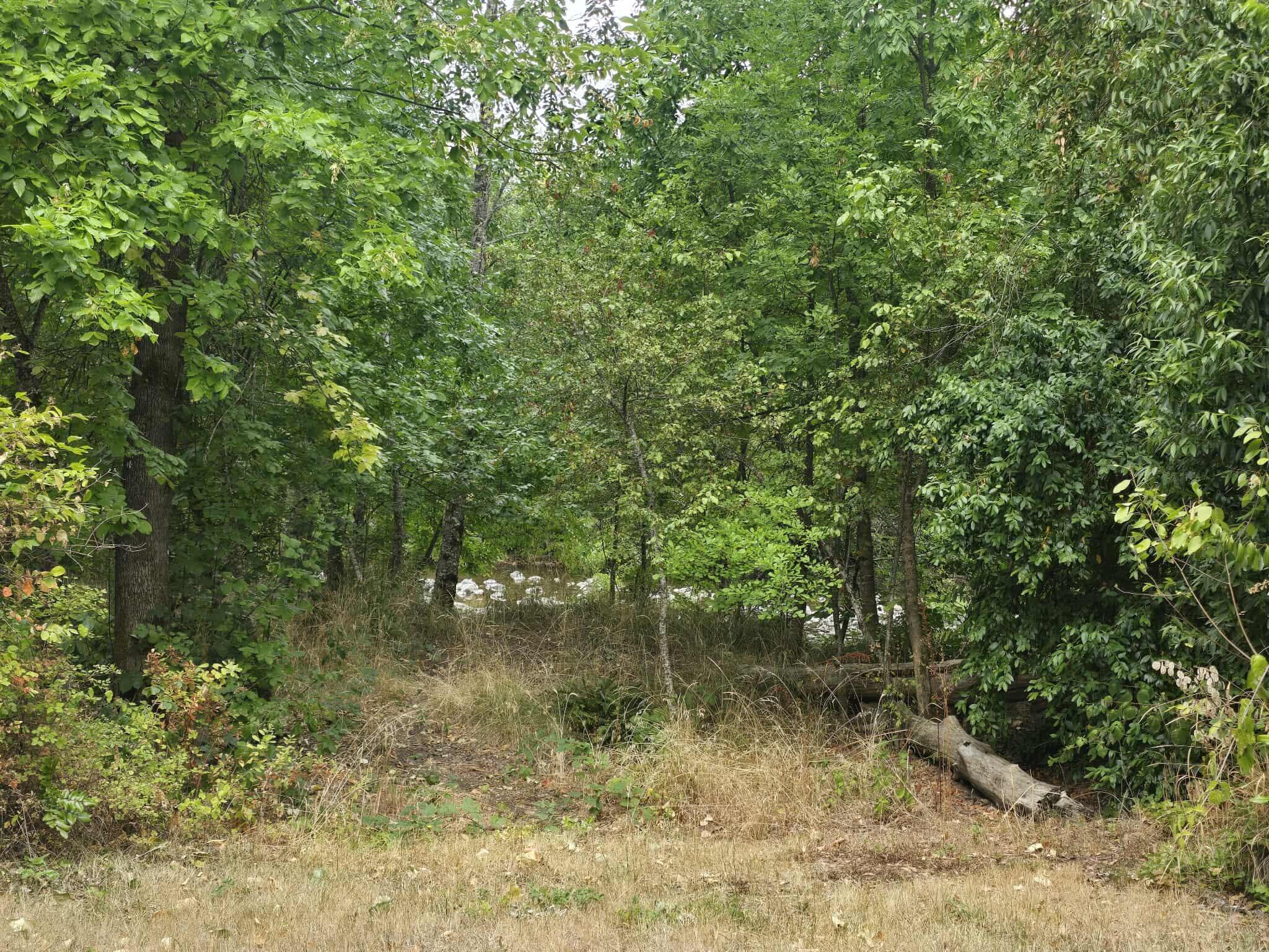 9900 Takilma Road Cave Junction, OR 97523 - Photo 23 of 24 9900 4