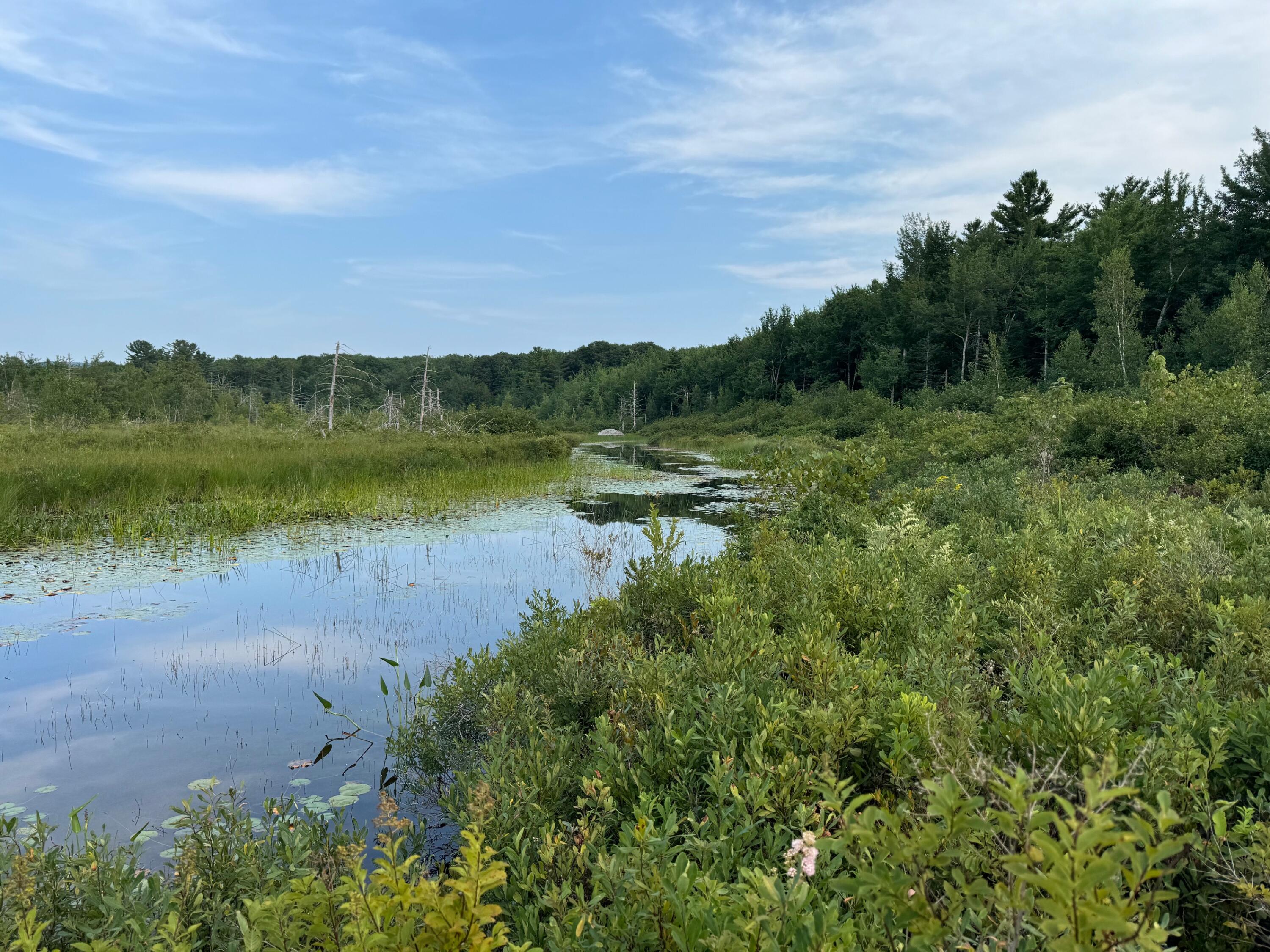 124 Donnell Pond Road Franklin, ME 04634 - Photo 6 of 42 IMG_4390