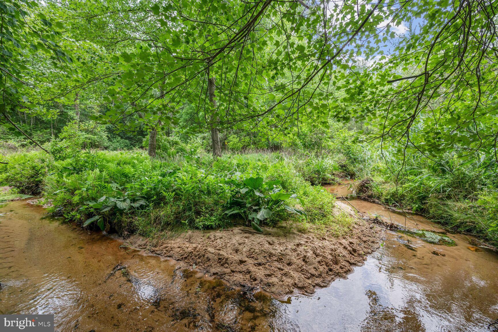 217 Johnson Road Blackwood, NJ 08012 - Photo 8 of 26 Small stream at far rear of yard.