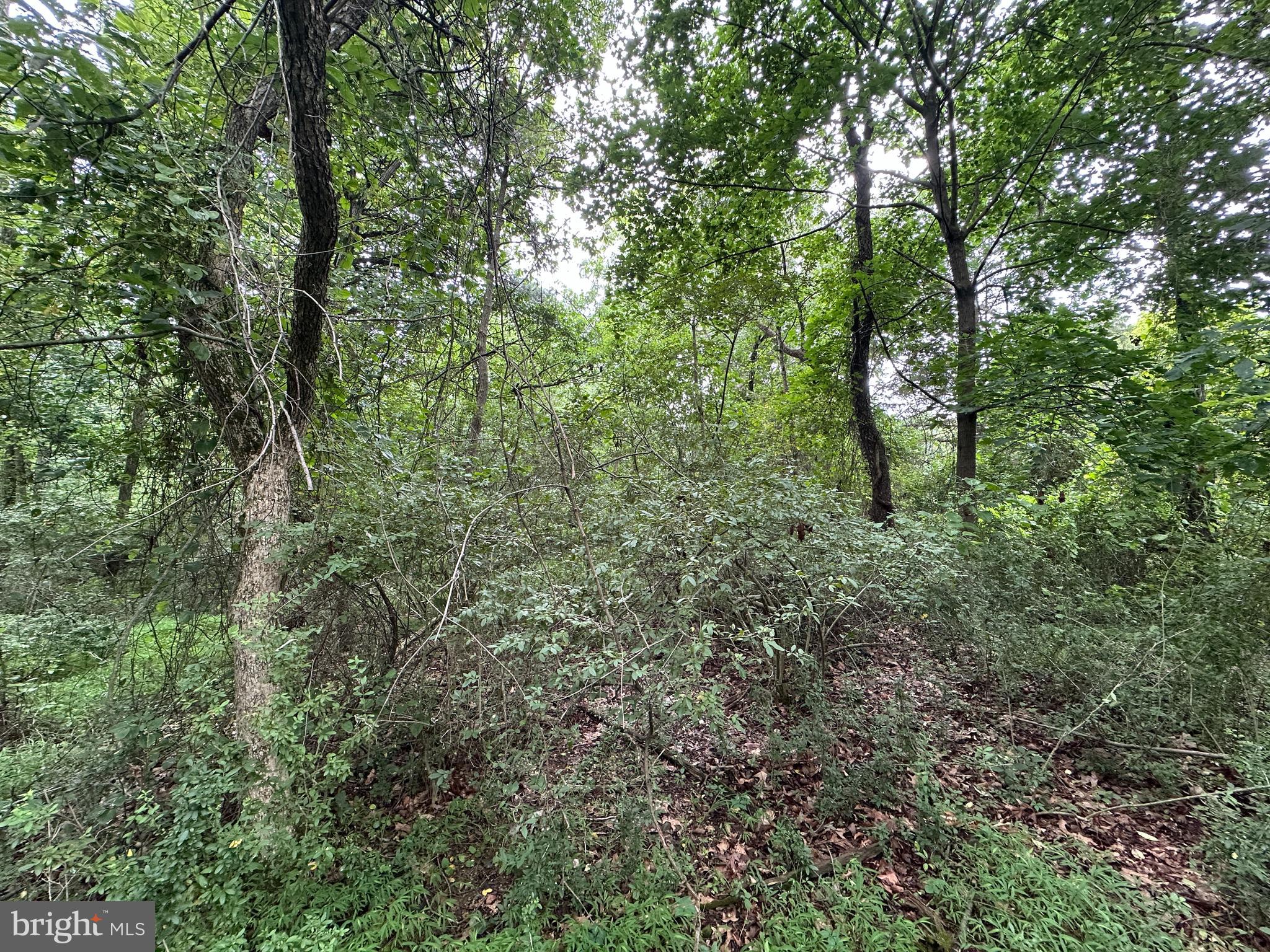 9-acres Polidor Road Waynesboro, PA 17268 - Photo 13 of 20