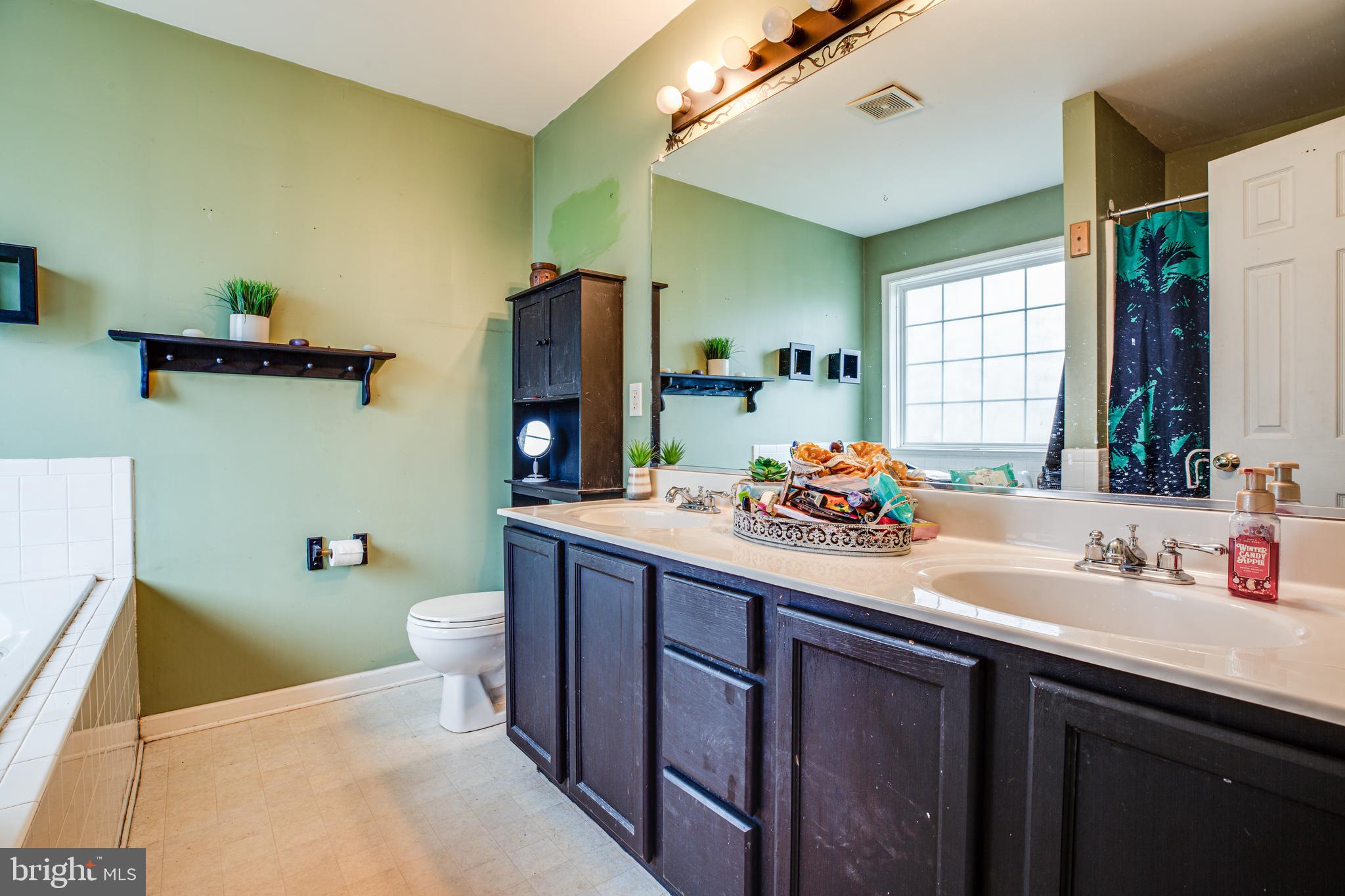 1097 Branch Road Ruther Glen, VA 22546 - Photo 12 of 30 Master bathroom