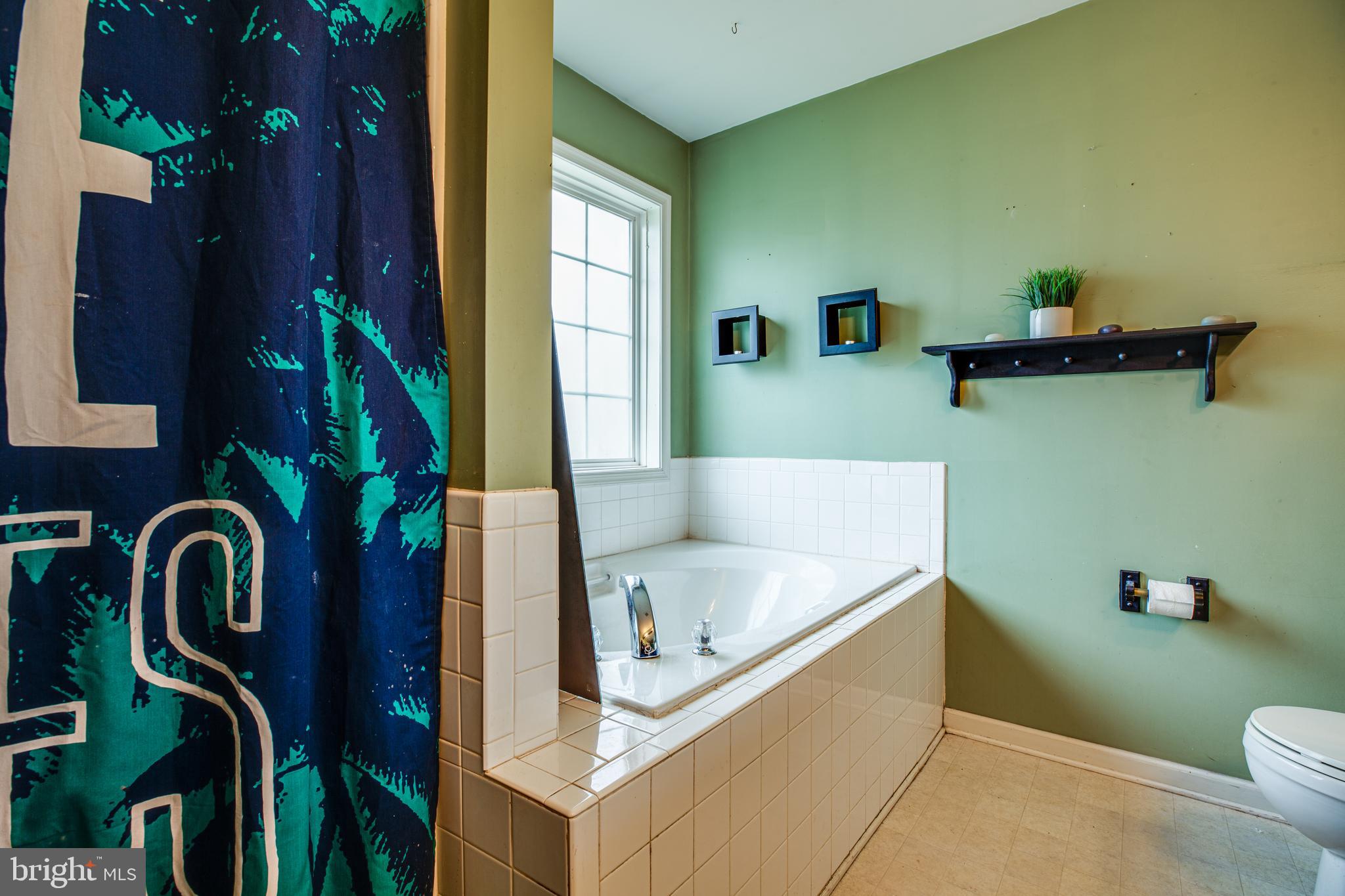 1097 Branch Road Ruther Glen, VA 22546 - Photo 13 of 30 Separate tub/shower