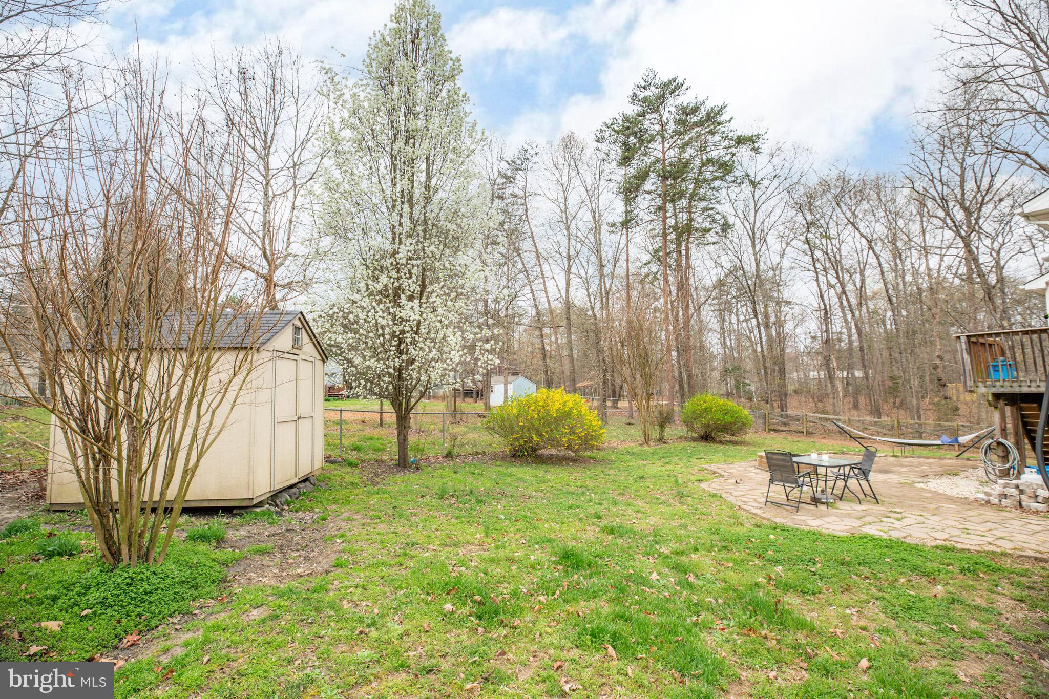 1097 Branch Road Ruther Glen, VA 22546 - Photo 23 of 30 Wooded lots